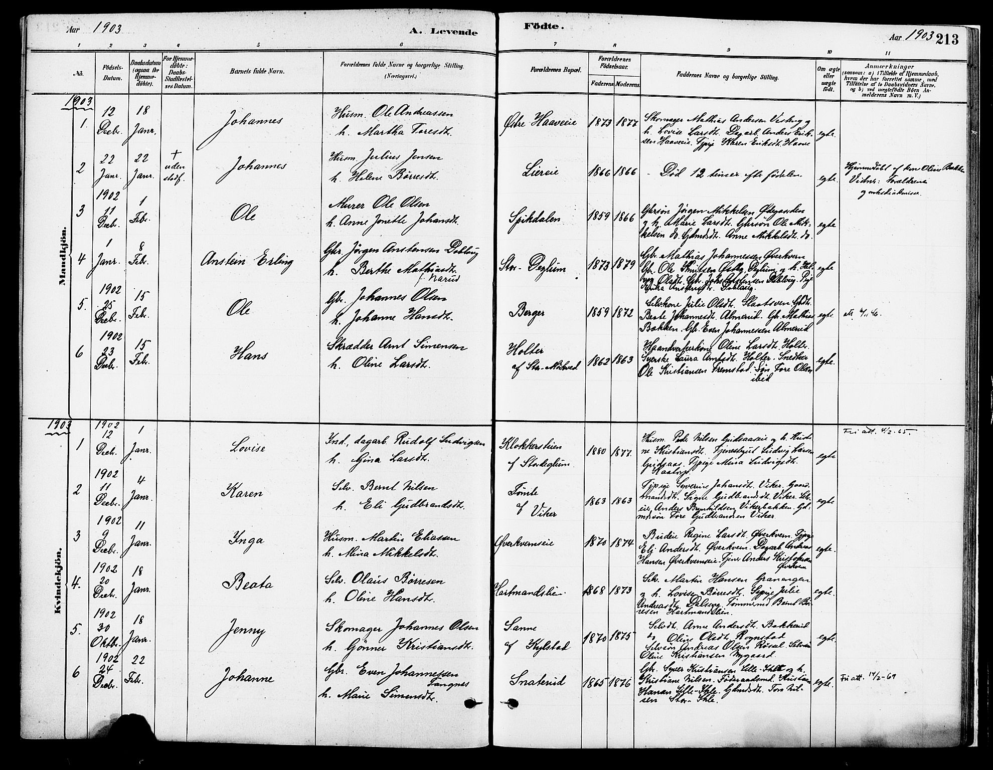 Vang prestekontor, Hedmark, SAH/PREST-008/H/Ha/Haa/L0018A: Parish register (official) no. 18A, 1880-1906, p. 213