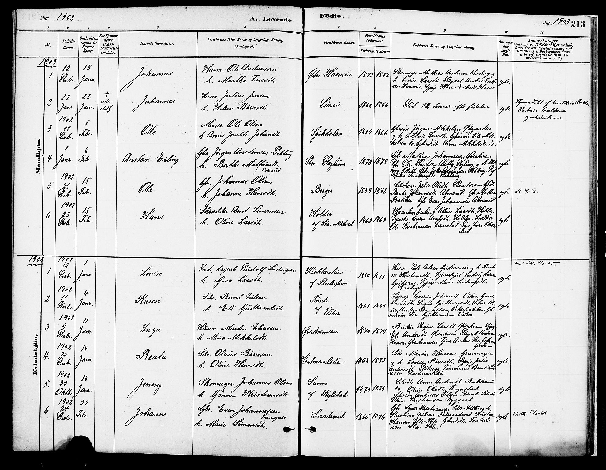 Vang prestekontor, Hedmark, AV/SAH-PREST-008/H/Ha/Haa/L0018A: Parish register (official) no. 18A, 1880-1906, p. 213