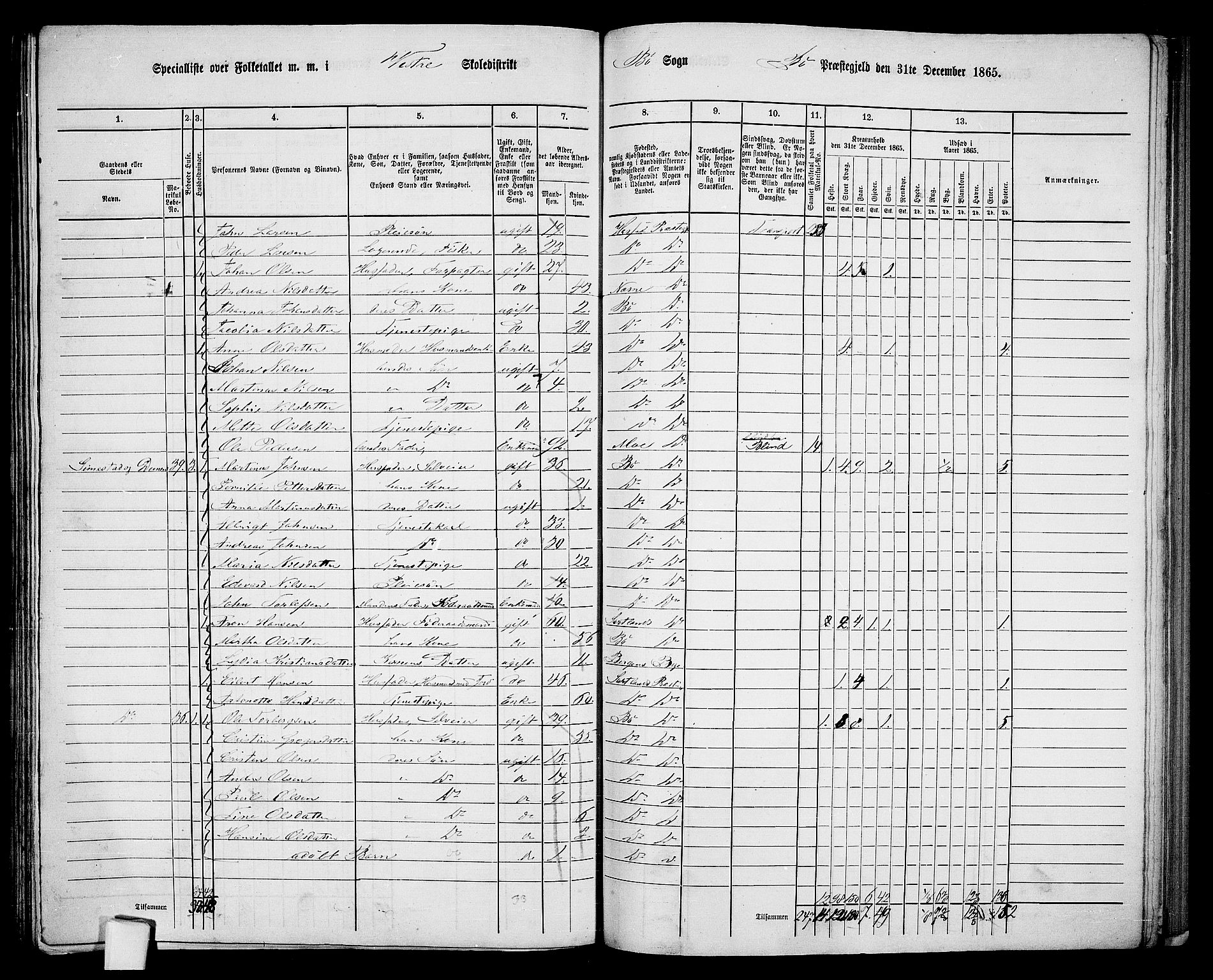 RA, 1865 census for Bø, 1865, p. 83