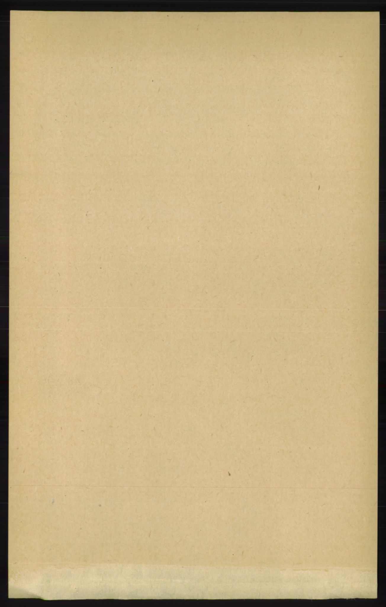 RA, 1891 census for 1154 Skjold, 1891, p. 2068
