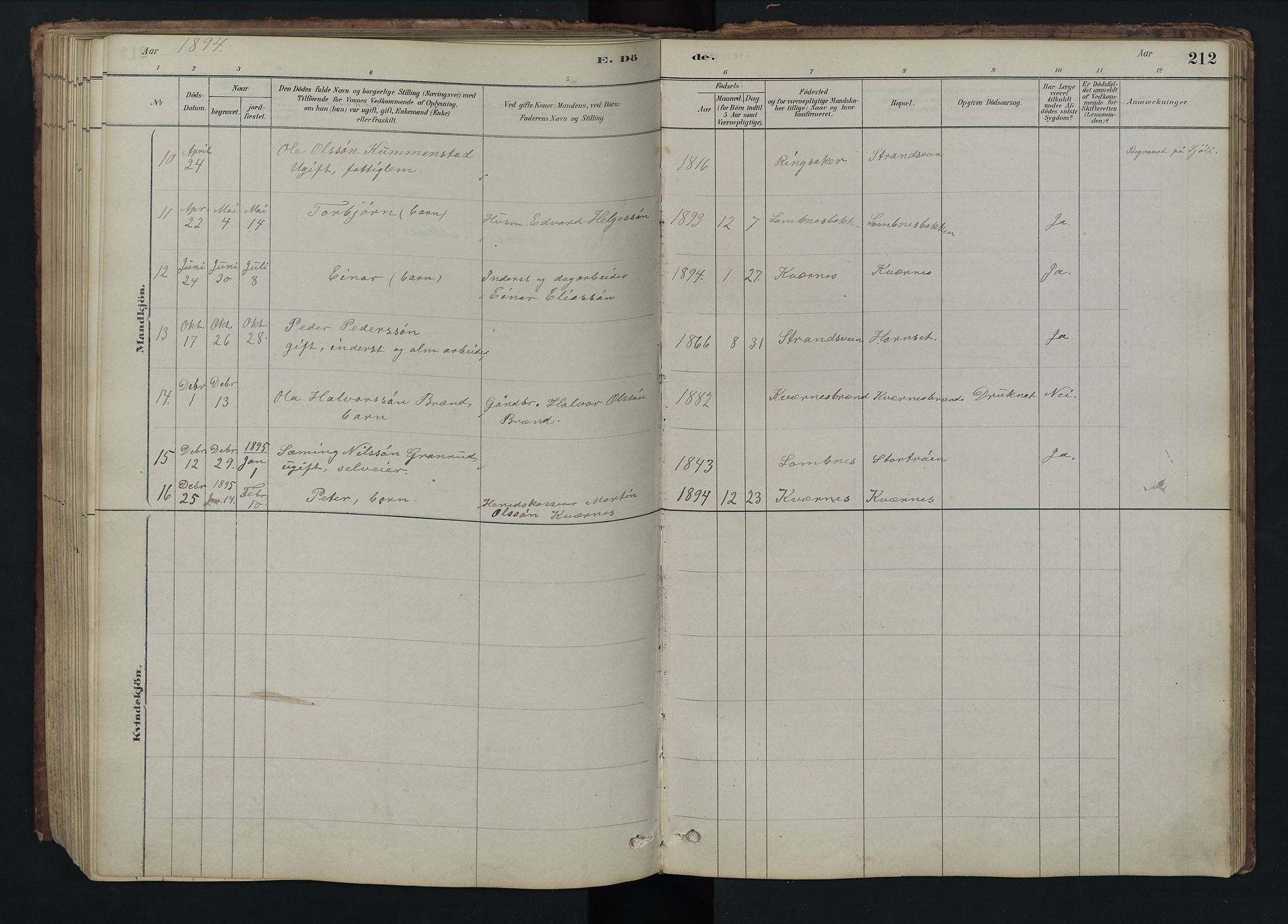 Rendalen prestekontor, SAH/PREST-054/H/Ha/Hab/L0009: Parish register (copy) no. 9, 1879-1902, p. 212