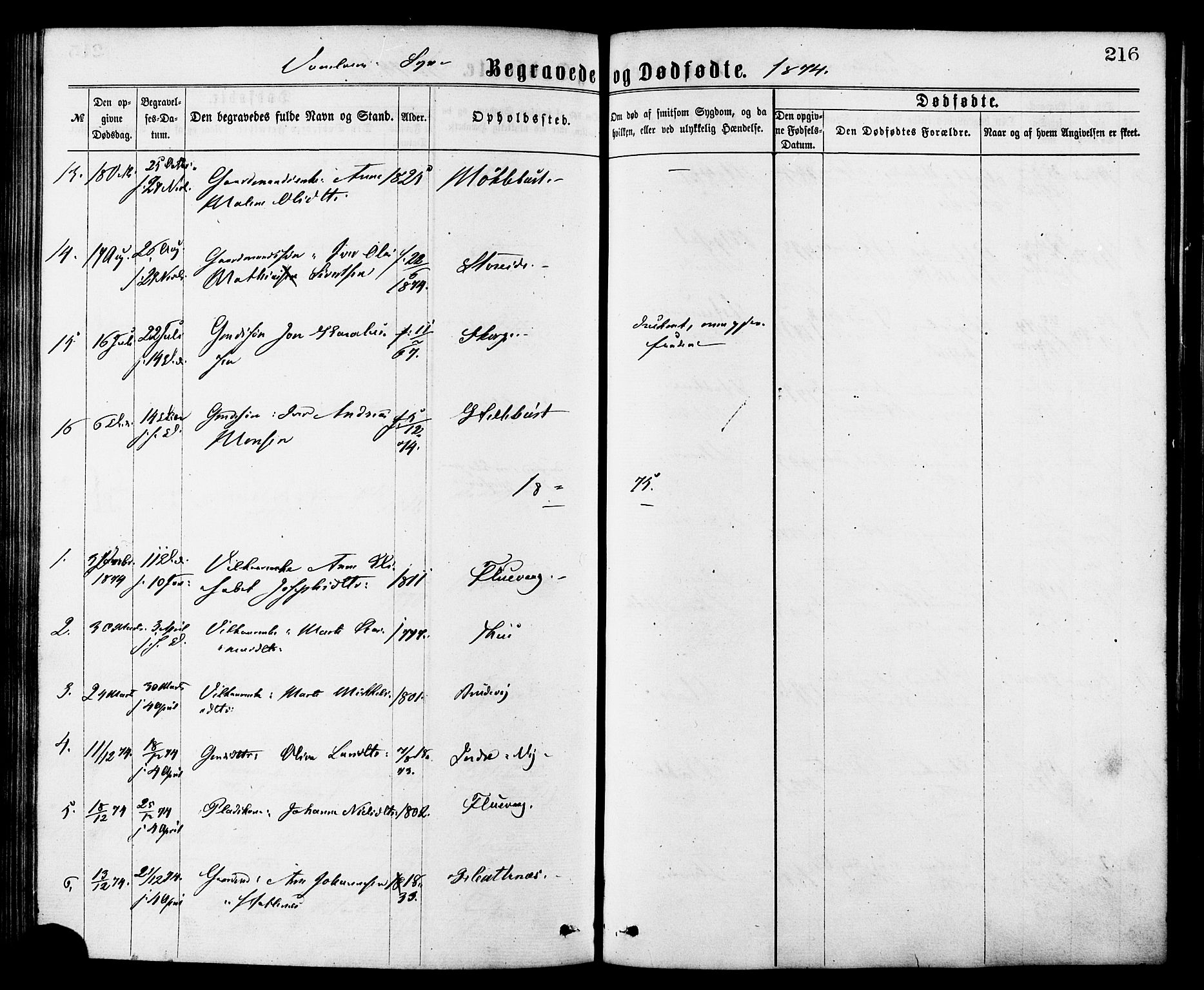 Ministerialprotokoller, klokkerbøker og fødselsregistre - Møre og Romsdal, AV/SAT-A-1454/501/L0007: Parish register (official) no. 501A07, 1868-1884, p. 216