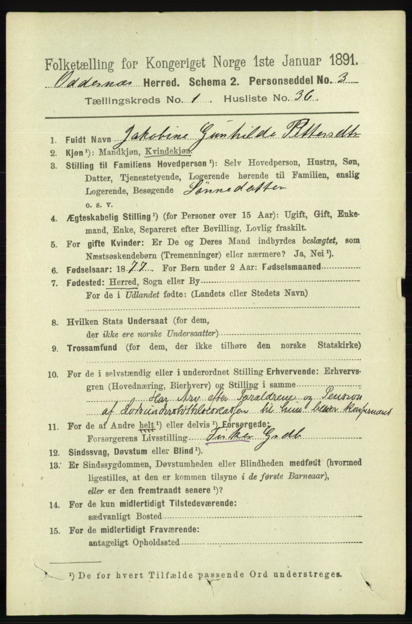 RA, 1891 census for 1012 Oddernes, 1891, p. 308