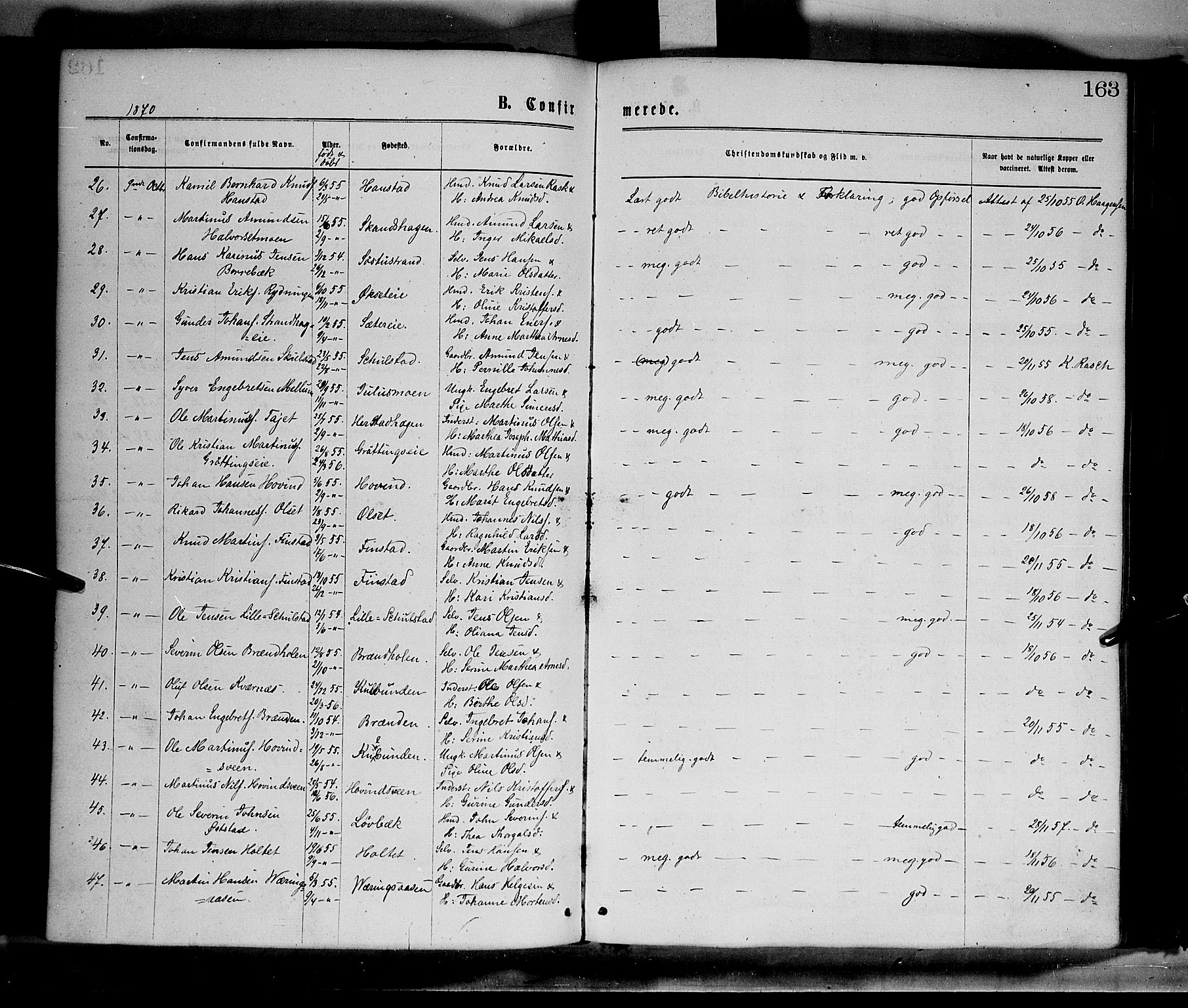 Elverum prestekontor, AV/SAH-PREST-044/H/Ha/Haa/L0011: Parish register (official) no. 11, 1869-1879, p. 163