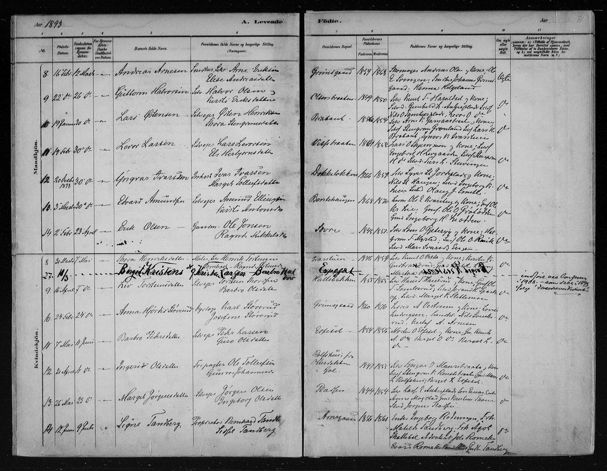 Nes kirkebøker, AV/SAKO-A-236/F/Fa/L0011: Parish register (official) no. 11, 1881-1912, p. 71