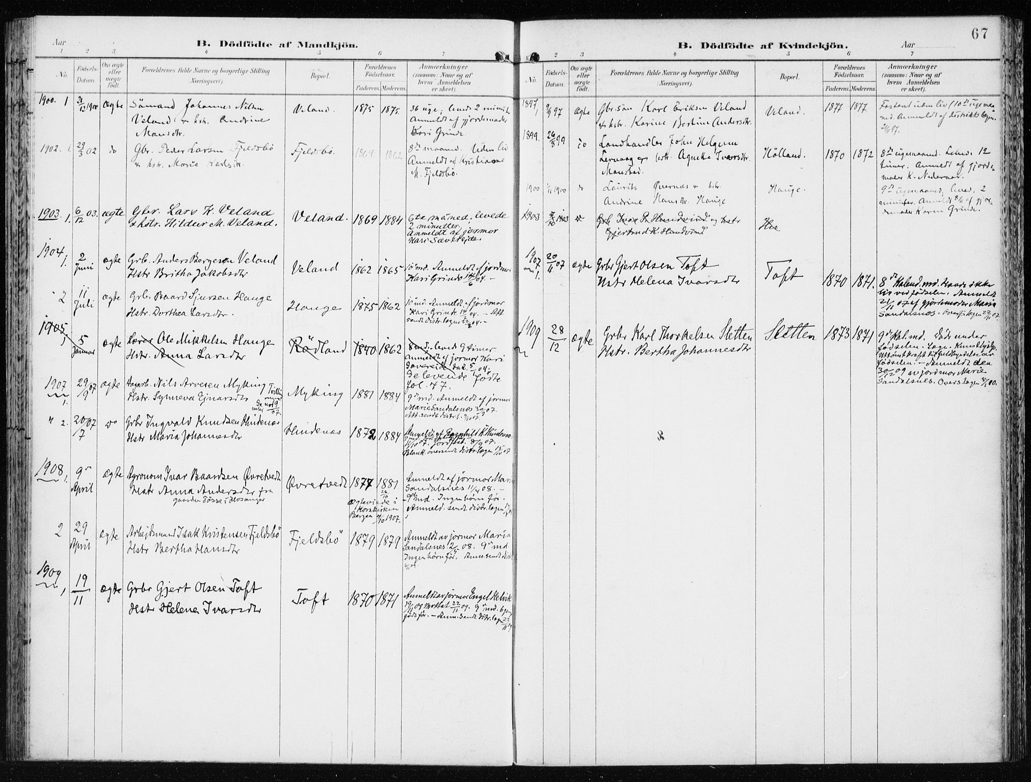 Lindås Sokneprestembete, SAB/A-76701/H/Haa: Parish register (official) no. F  2, 1897-1909, p. 67
