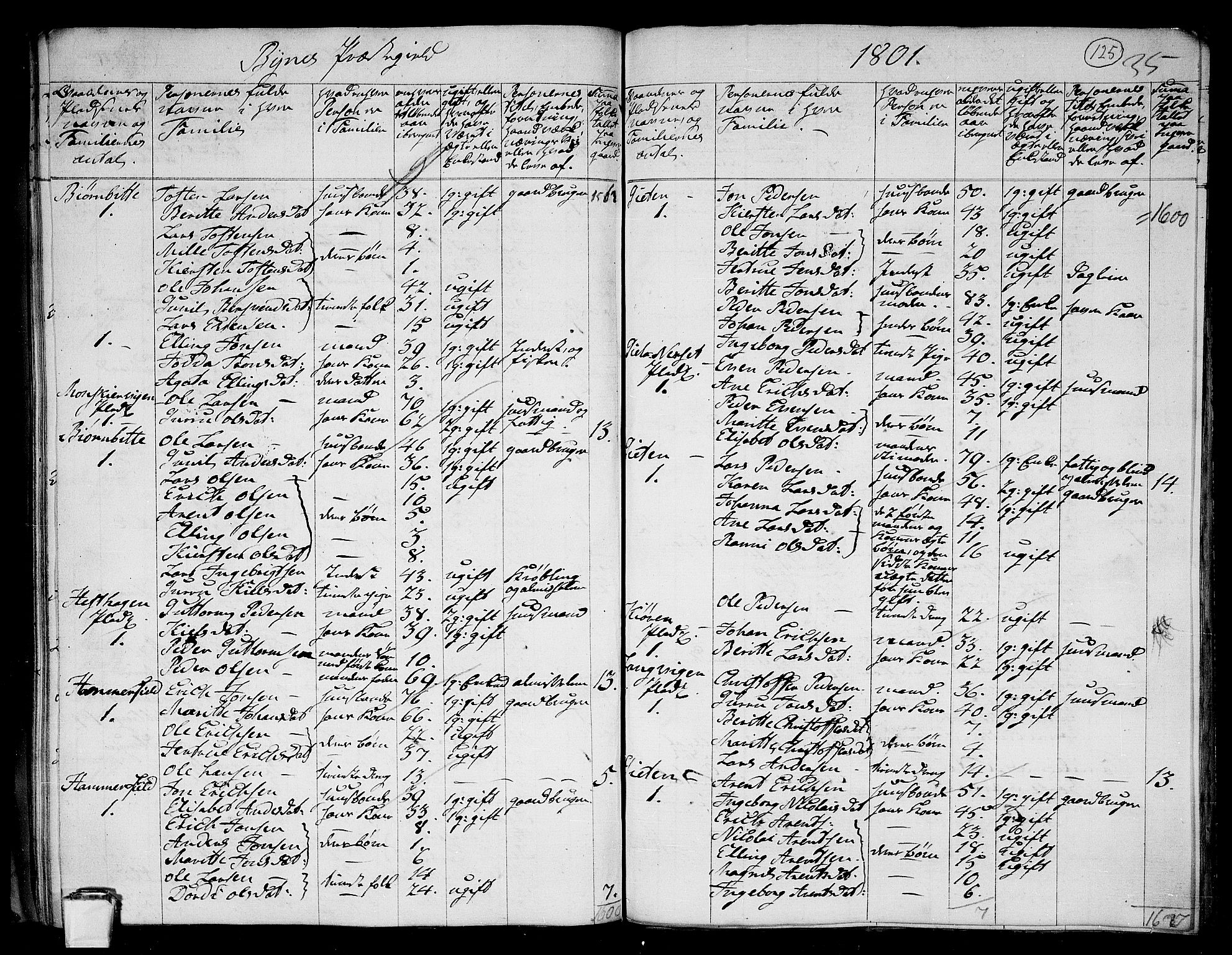 RA, 1801 census for 1655P Byneset, 1801, p. 124b-125a