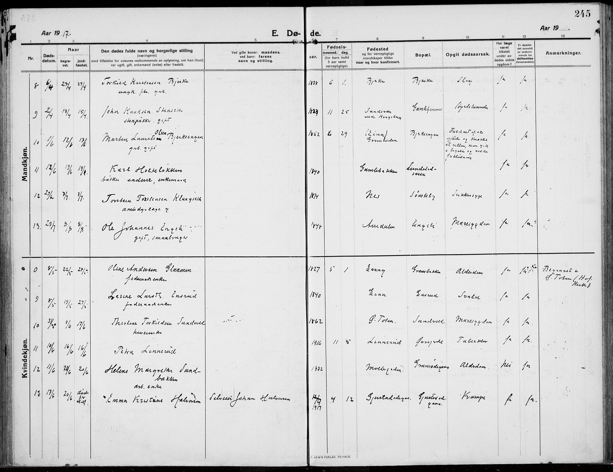 Kolbu prestekontor, SAH/PREST-110/H/Ha/Haa/L0002: Parish register (official) no. 2, 1912-1926, p. 245
