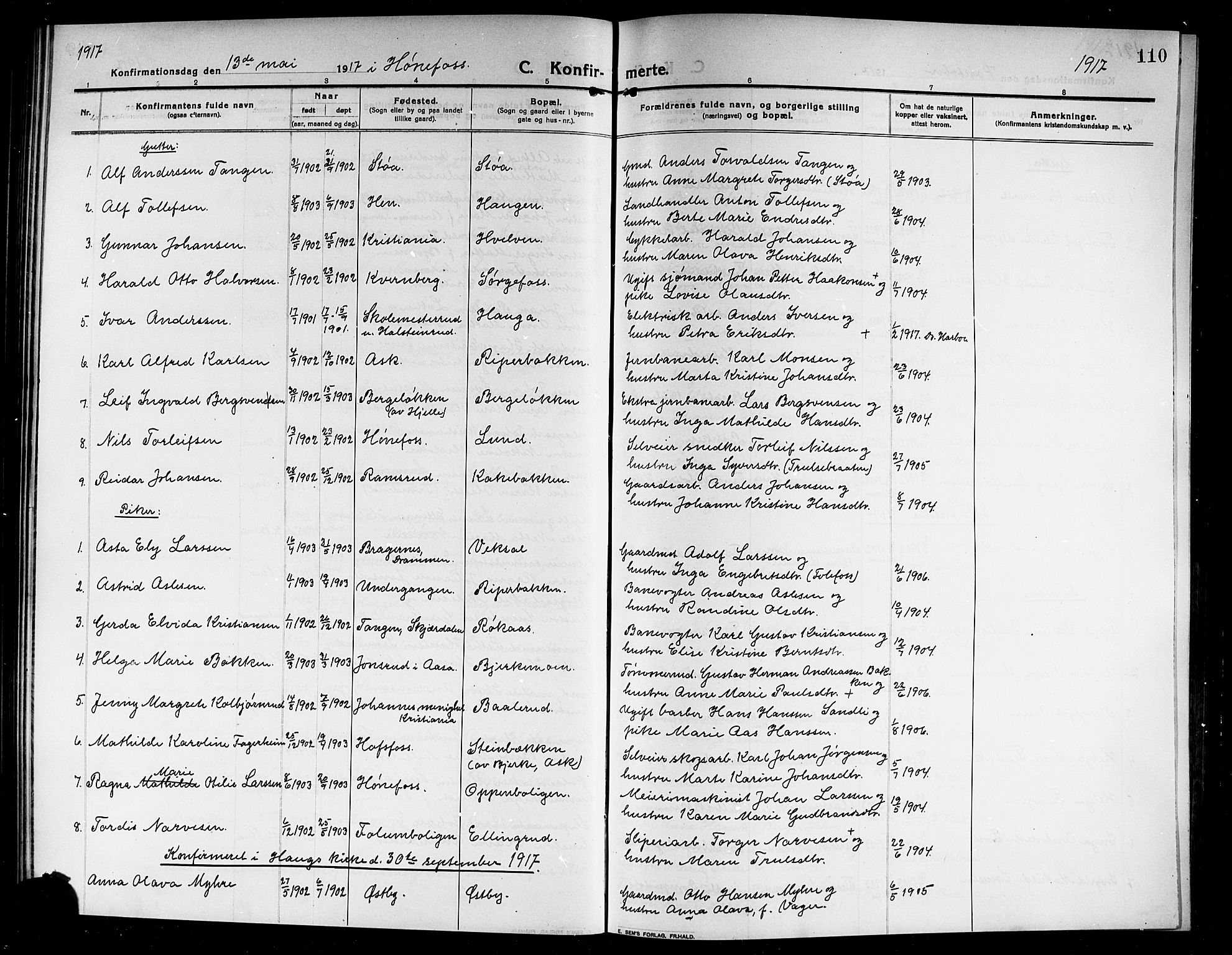 Norderhov kirkebøker, AV/SAKO-A-237/G/Ga/L0009: Parish register (copy) no. I 9, 1913-1920, p. 110