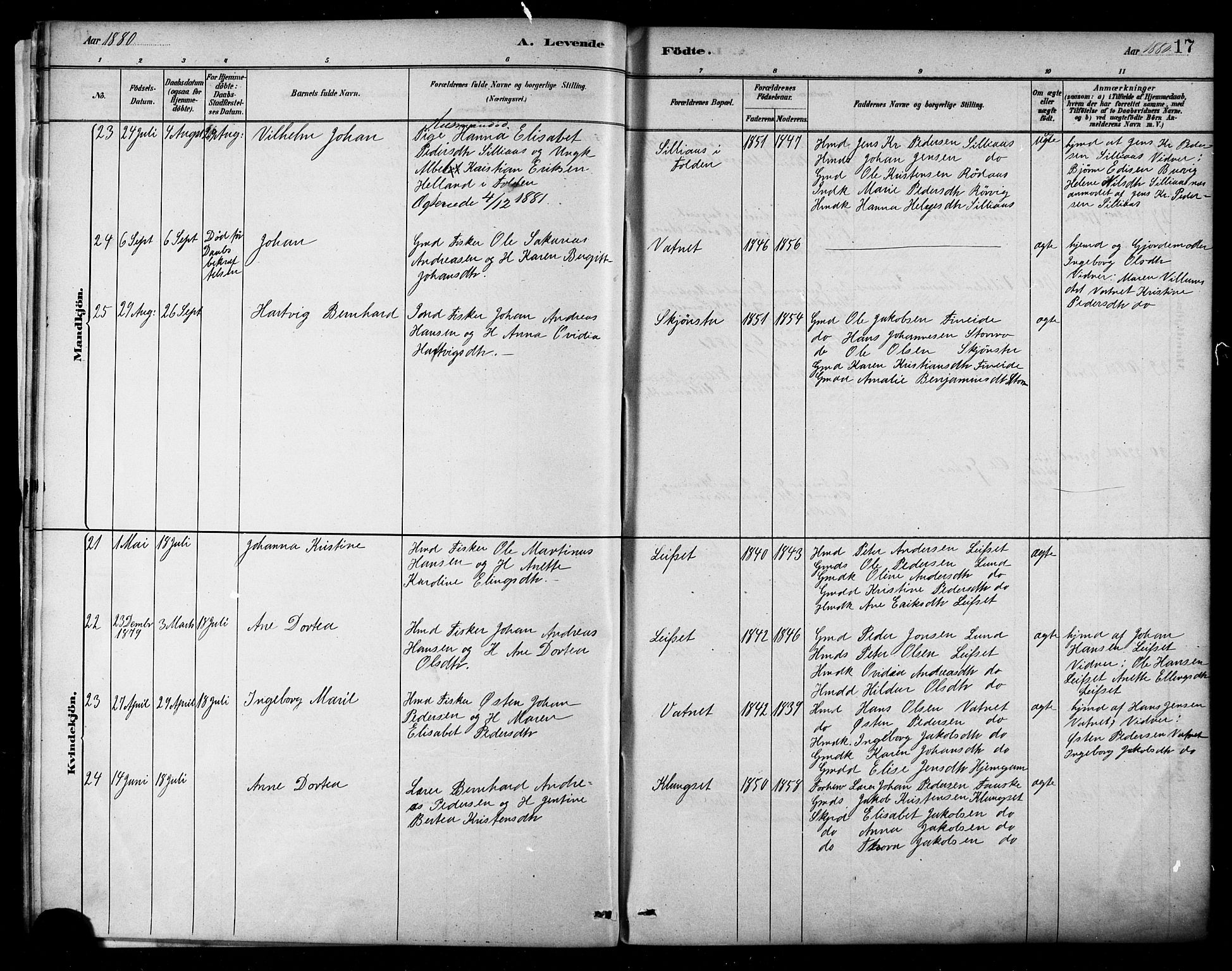 Ministerialprotokoller, klokkerbøker og fødselsregistre - Nordland, AV/SAT-A-1459/849/L0689: Parish register (official) no. 849A01, 1879-1889, p. 17