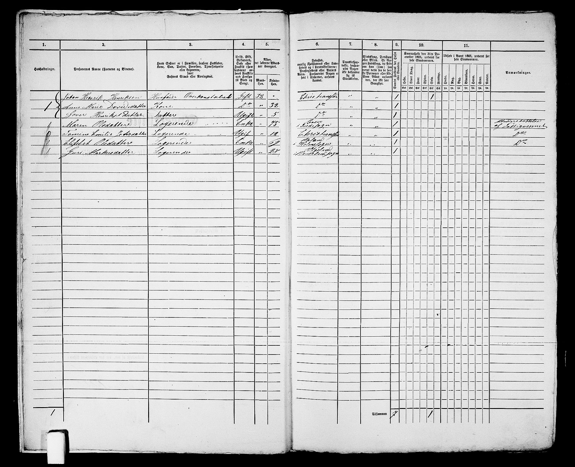 RA, 1865 census for Kristiansand, 1865, p. 1029