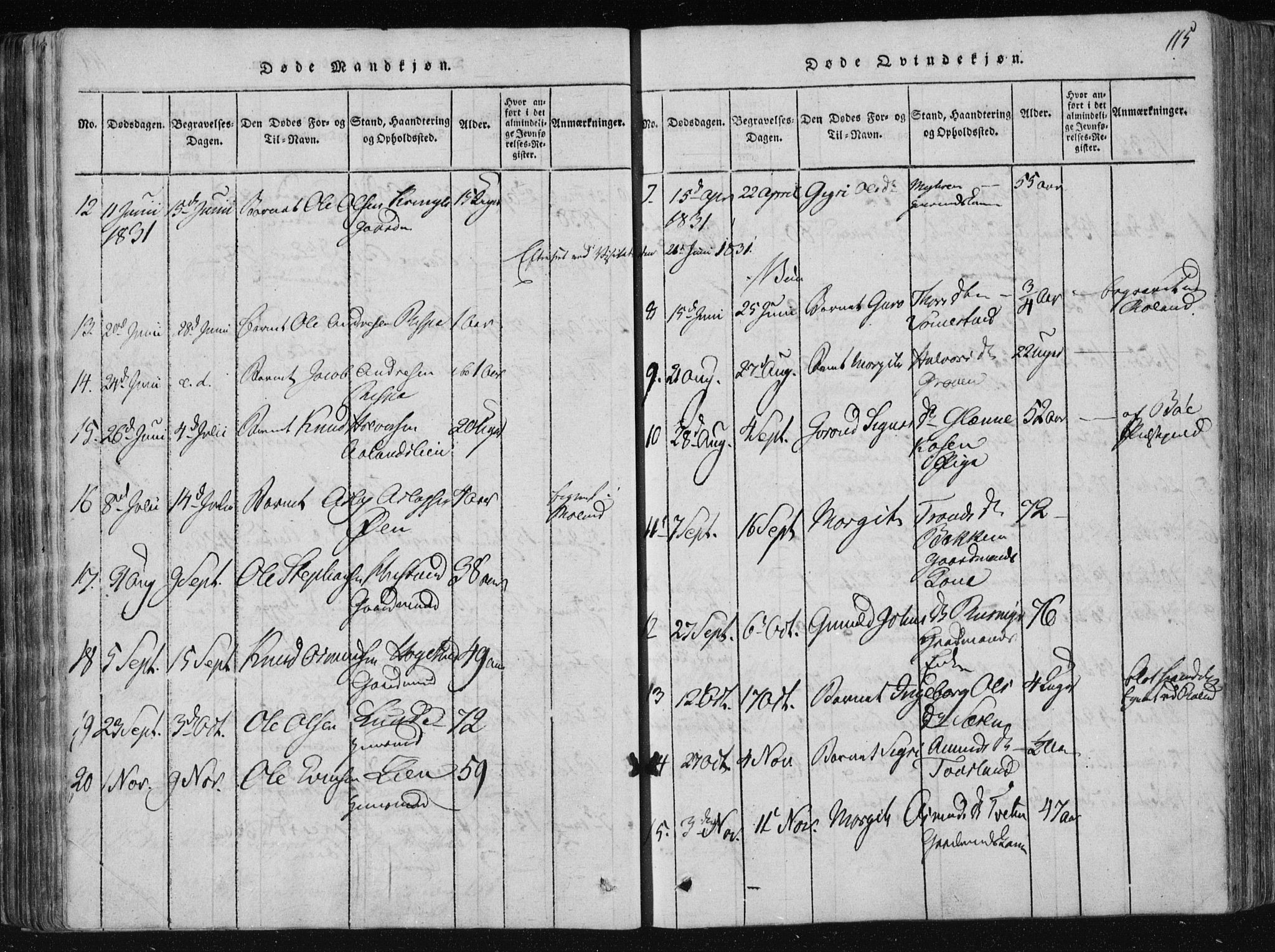 Vinje kirkebøker, SAKO/A-312/F/Fa/L0003: Parish register (official) no. I 3, 1814-1843, p. 115