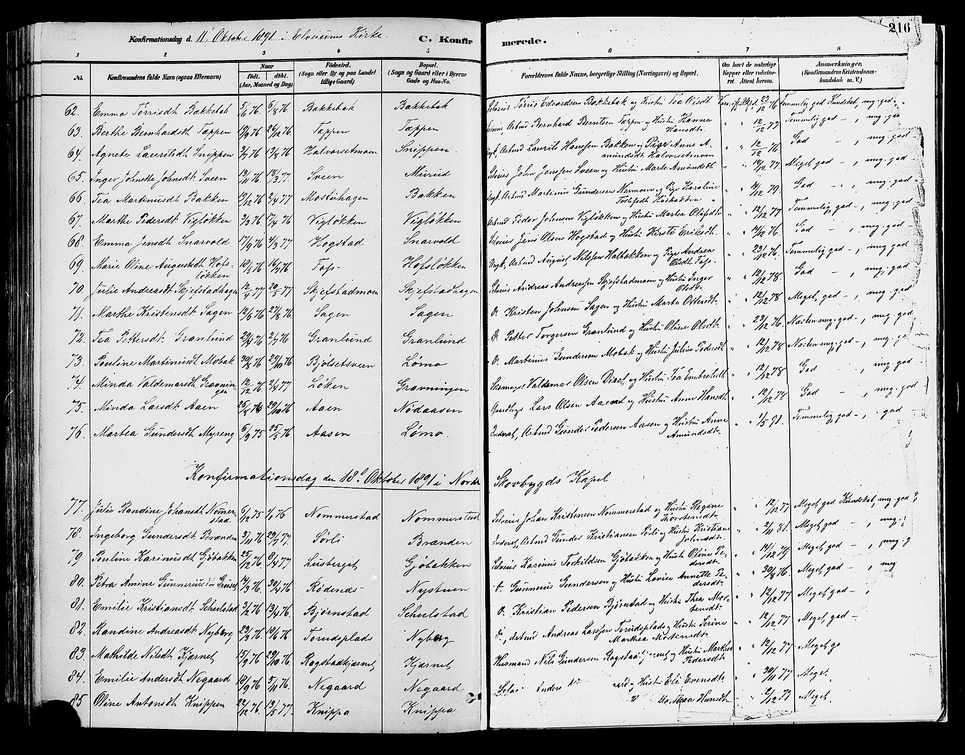 Elverum prestekontor, AV/SAH-PREST-044/H/Ha/Haa/L0013: Parish register (official) no. 13, 1880-1890, p. 216