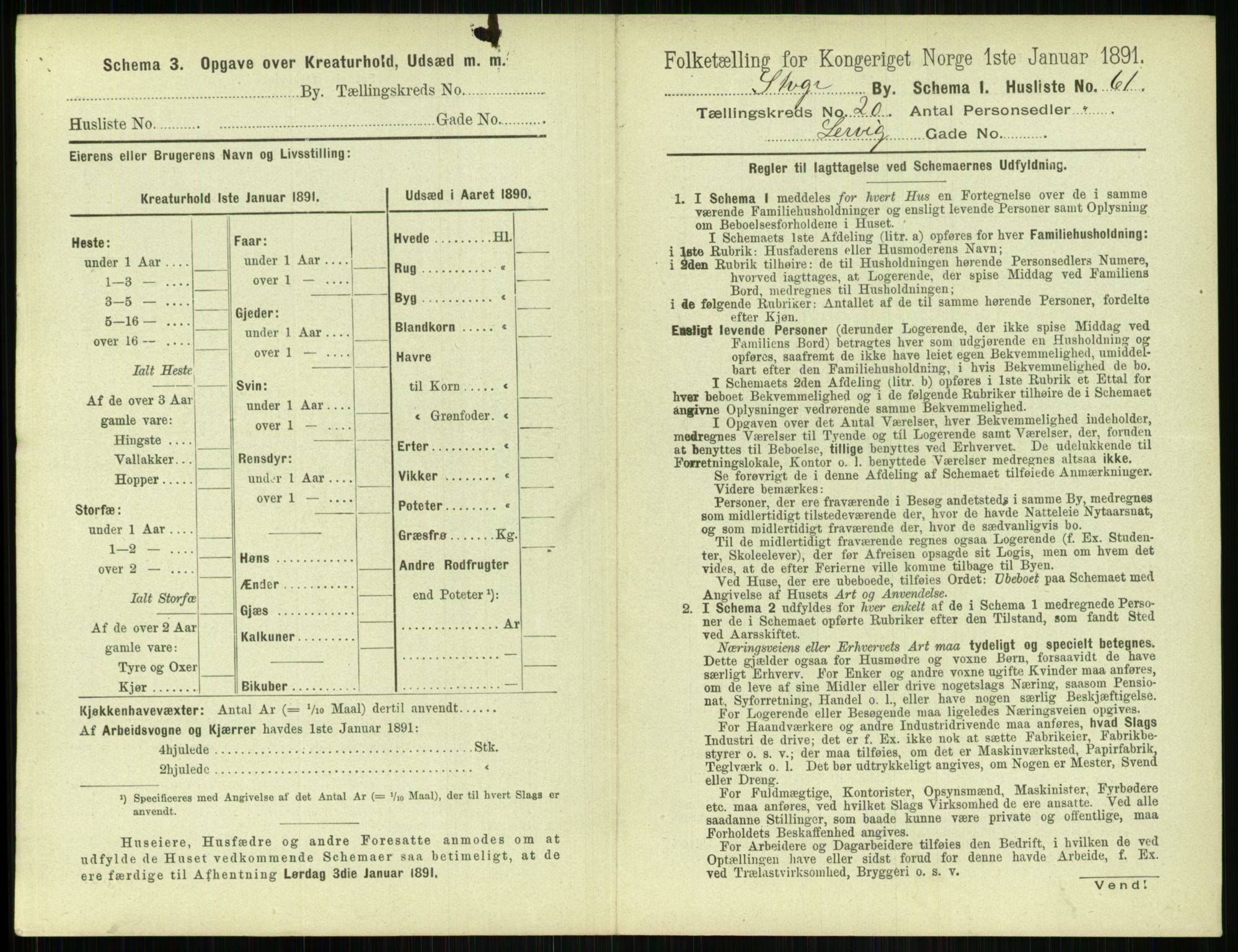 RA, 1891 census for 1103 Stavanger, 1891, p. 3911