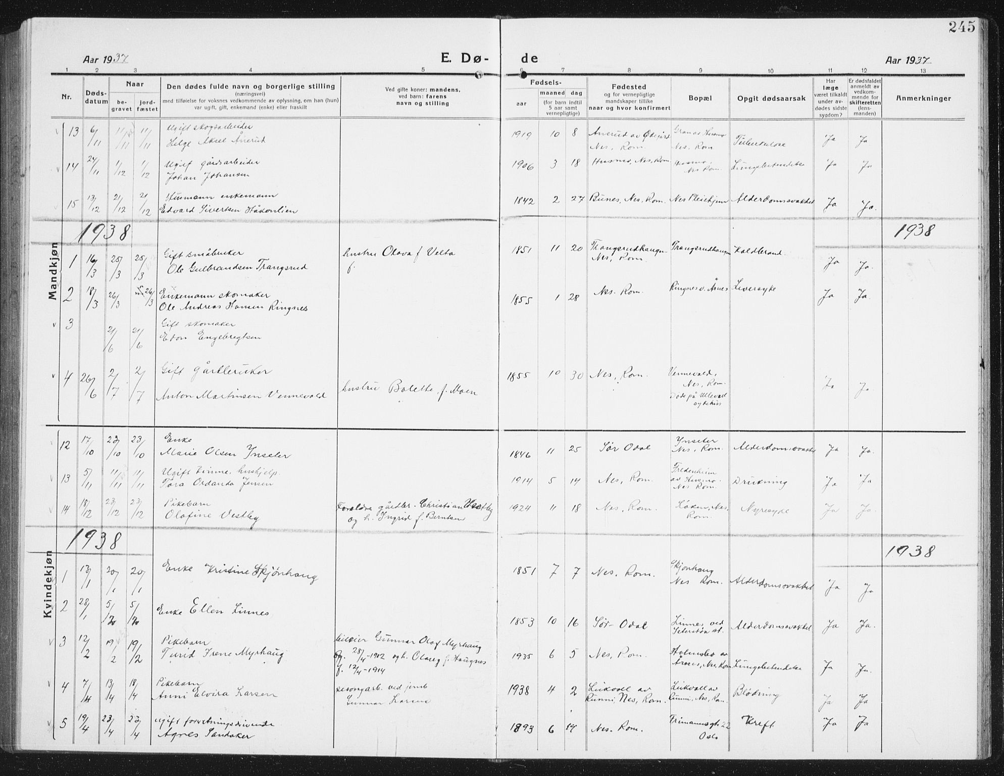 Nes prestekontor Kirkebøker, SAO/A-10410/G/Gc/L0002: Parish register (copy) no. III 2, 1915-1943, p. 245