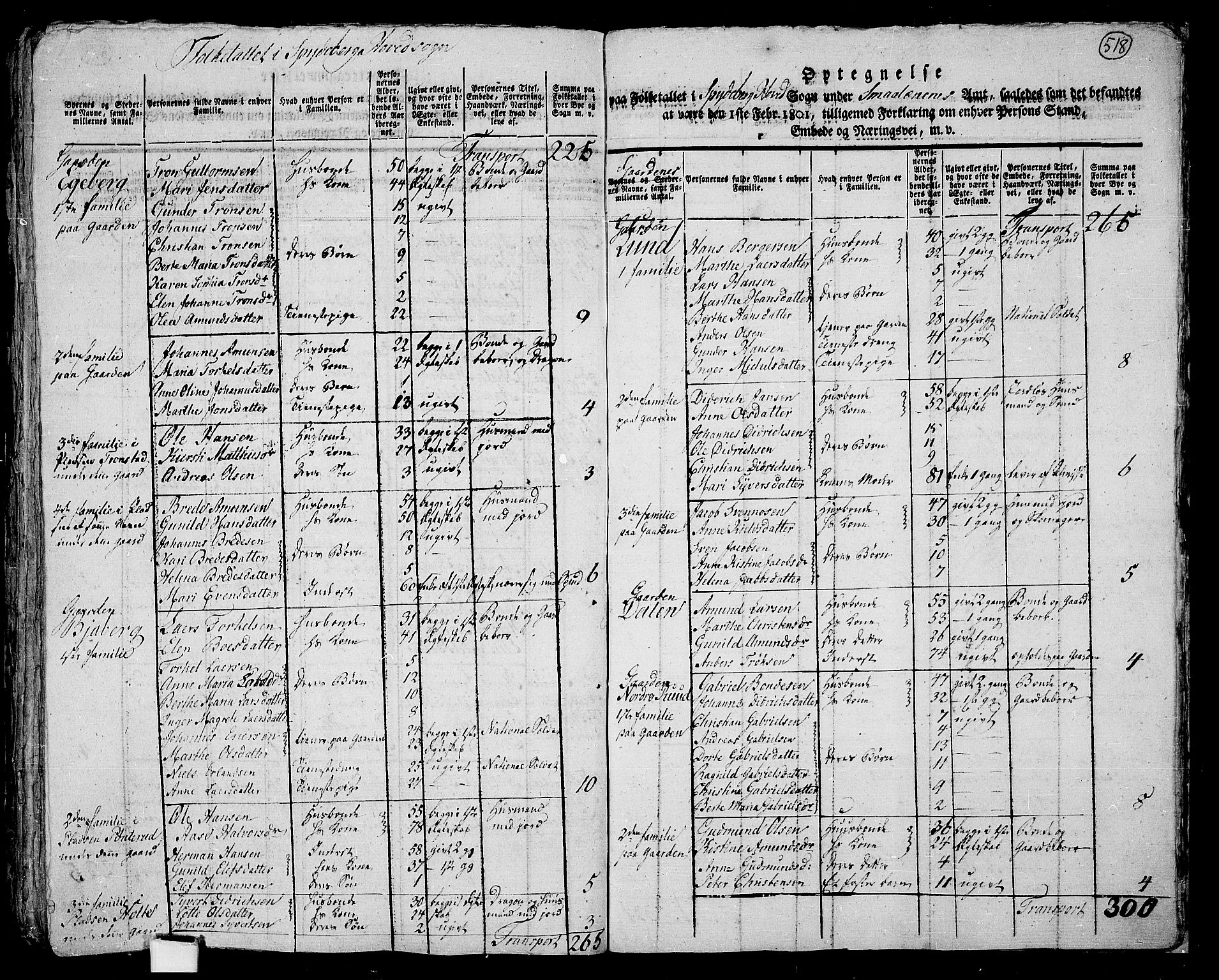 RA, 1801 census for 0123P Spydeberg, 1801, p. 517b-518a