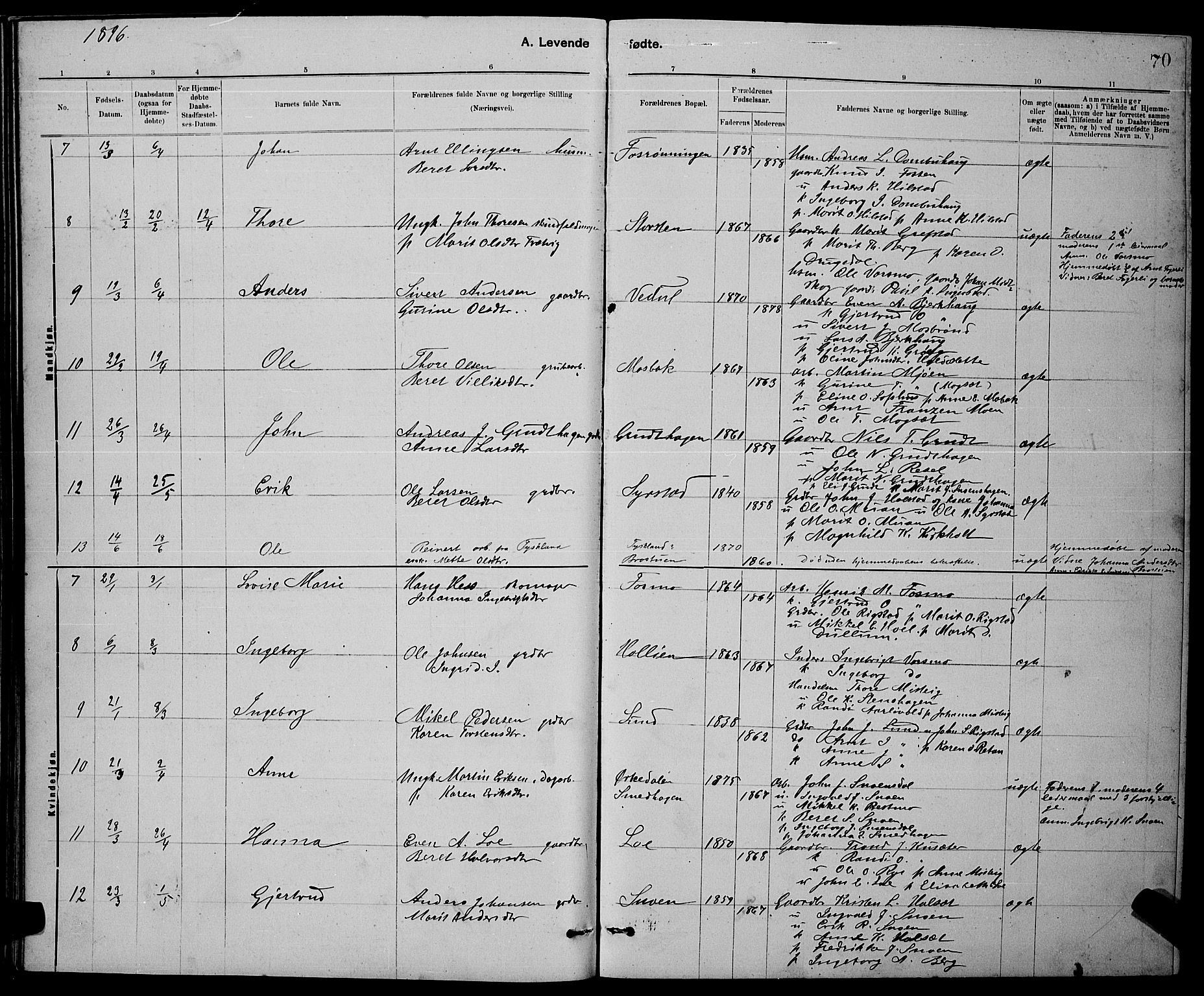 Ministerialprotokoller, klokkerbøker og fødselsregistre - Sør-Trøndelag, SAT/A-1456/672/L0863: Parish register (copy) no. 672C02, 1888-1901, p. 70