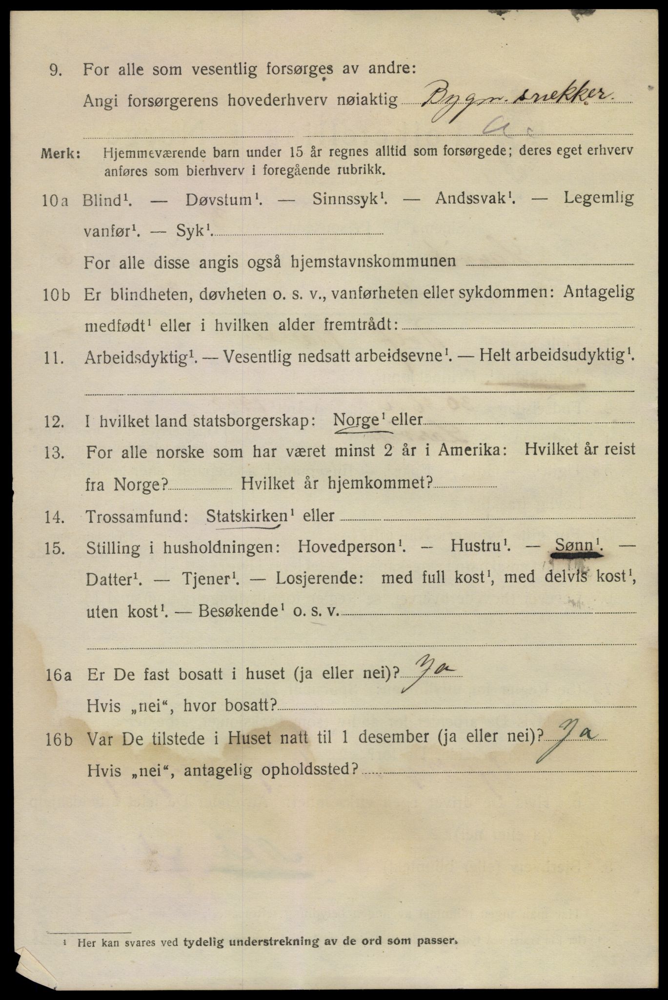 SAKO, 1920 census for Larvik, 1920, p. 20675