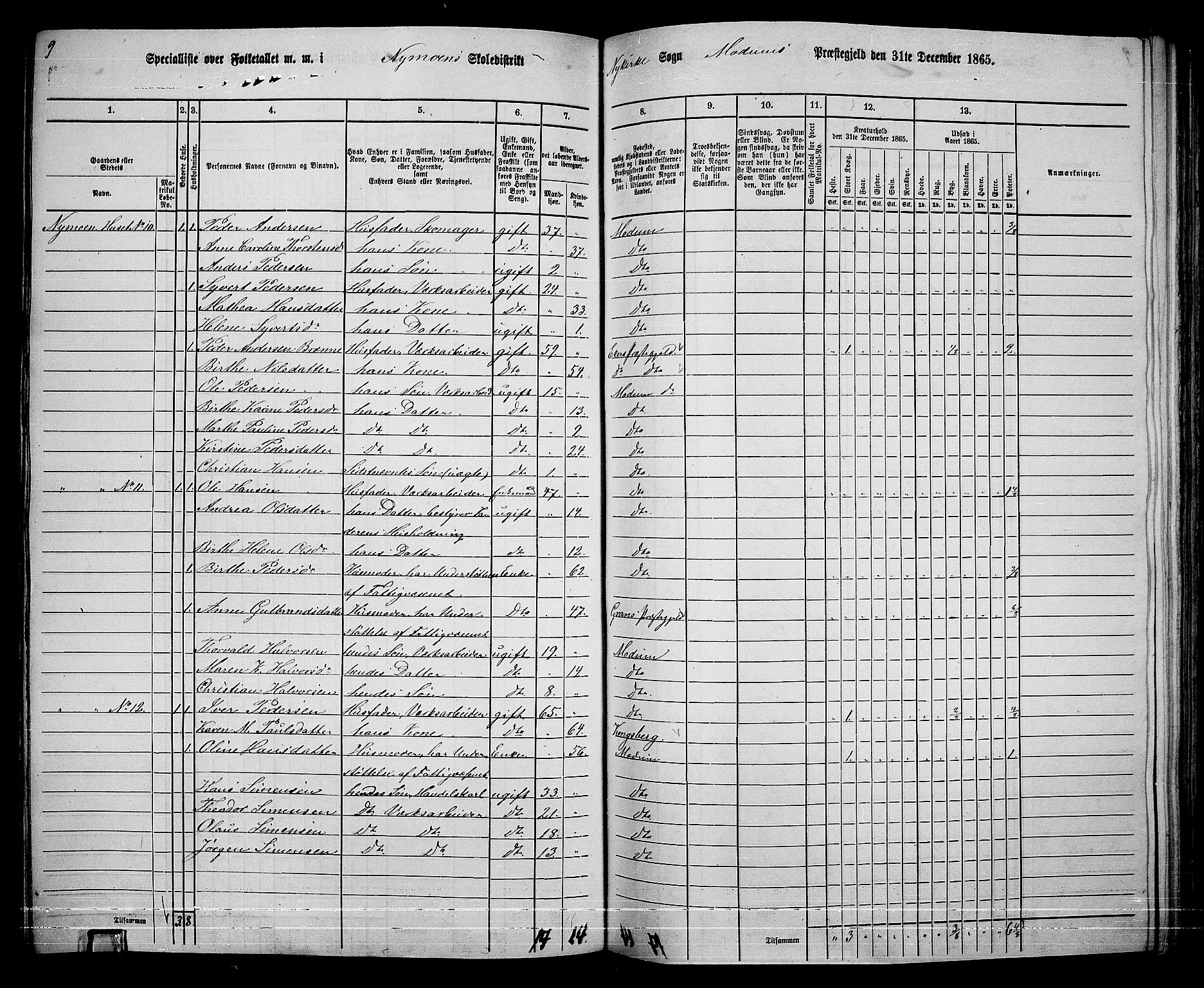 RA, 1865 census for Modum, 1865, p. 234