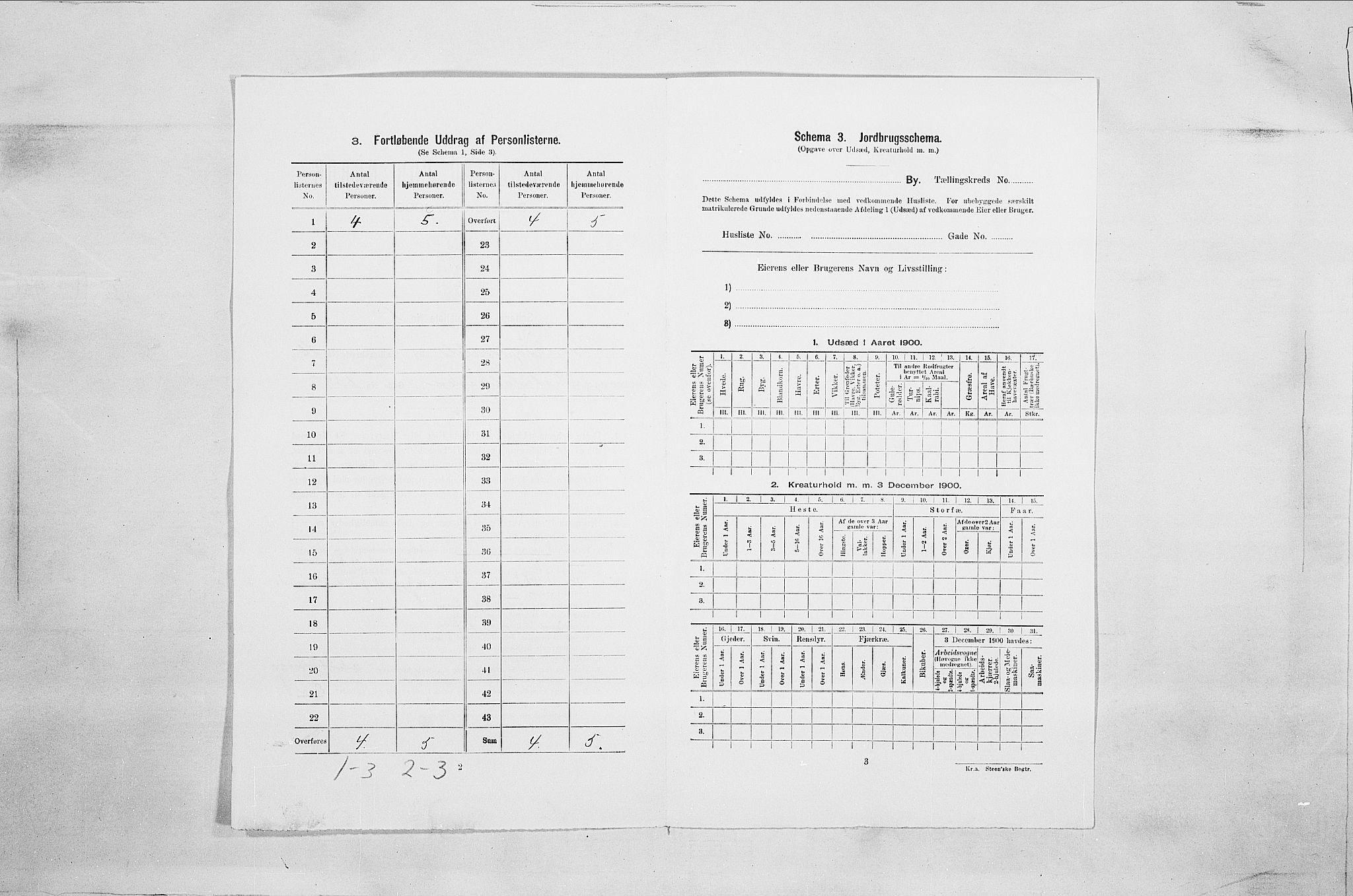 SAO, 1900 census for Fredrikshald, 1900