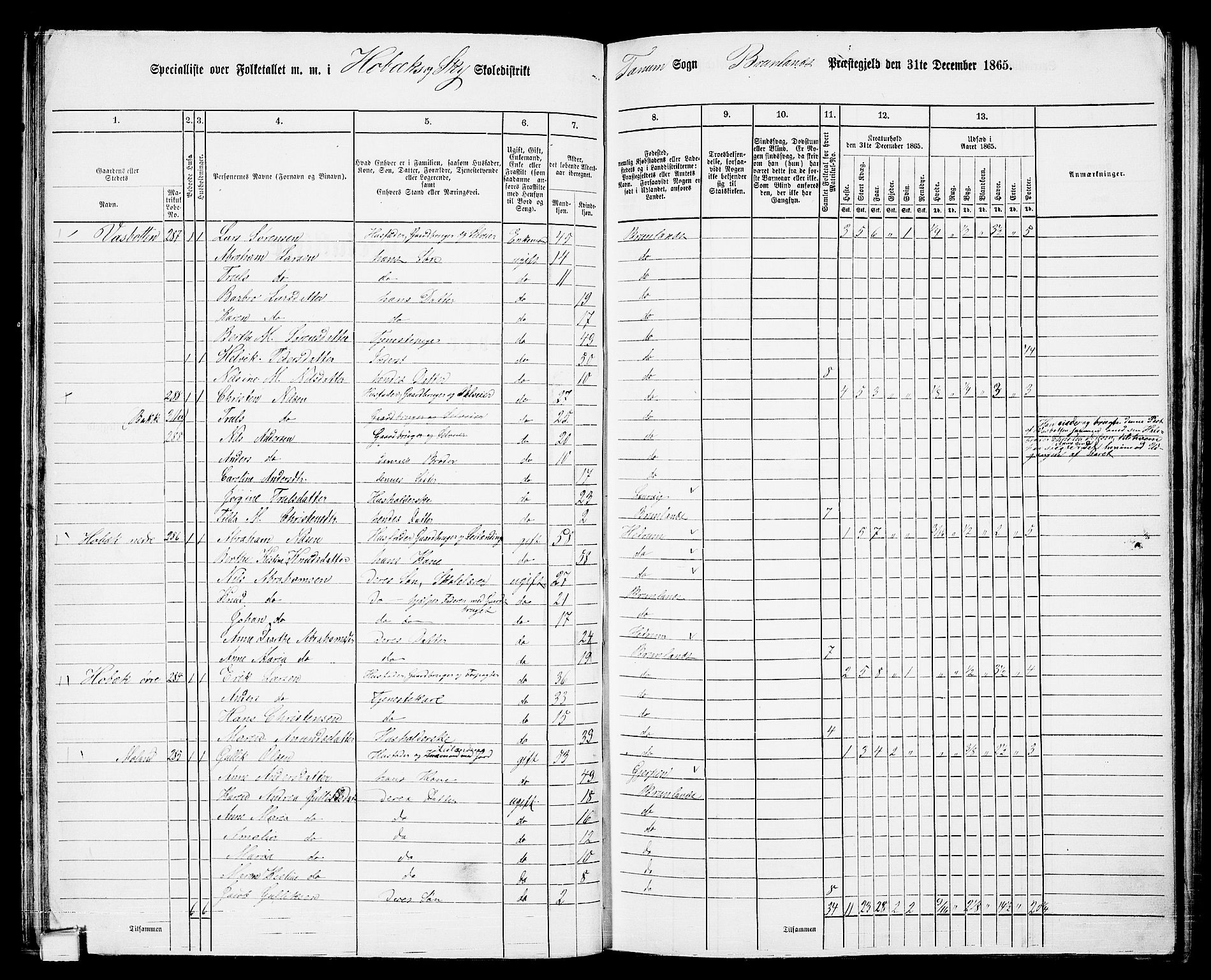 RA, 1865 census for Brunlanes, 1865, p. 44