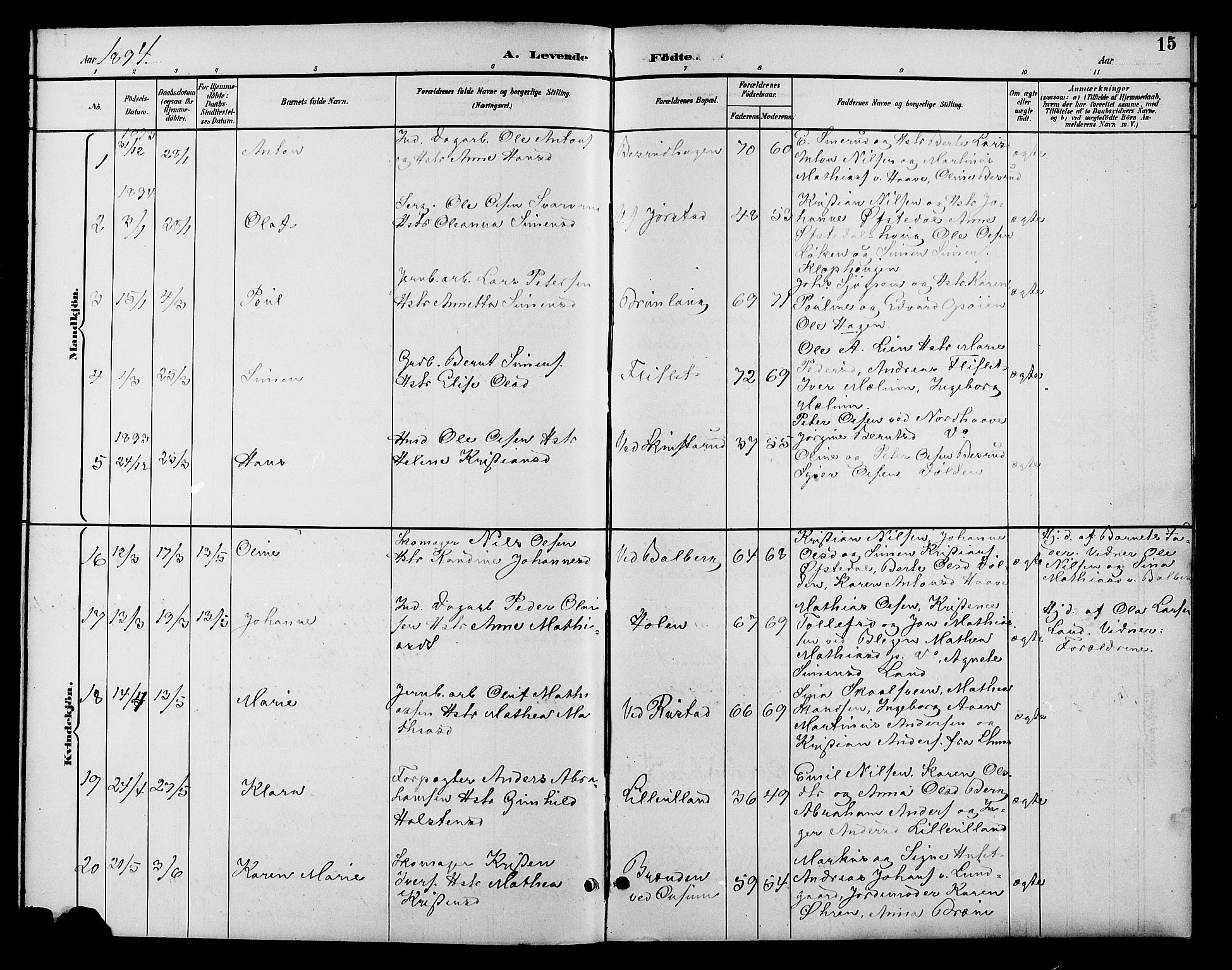 Fåberg prestekontor, AV/SAH-PREST-086/H/Ha/Hab/L0010: Parish register (copy) no. 10, 1892-1900, p. 15