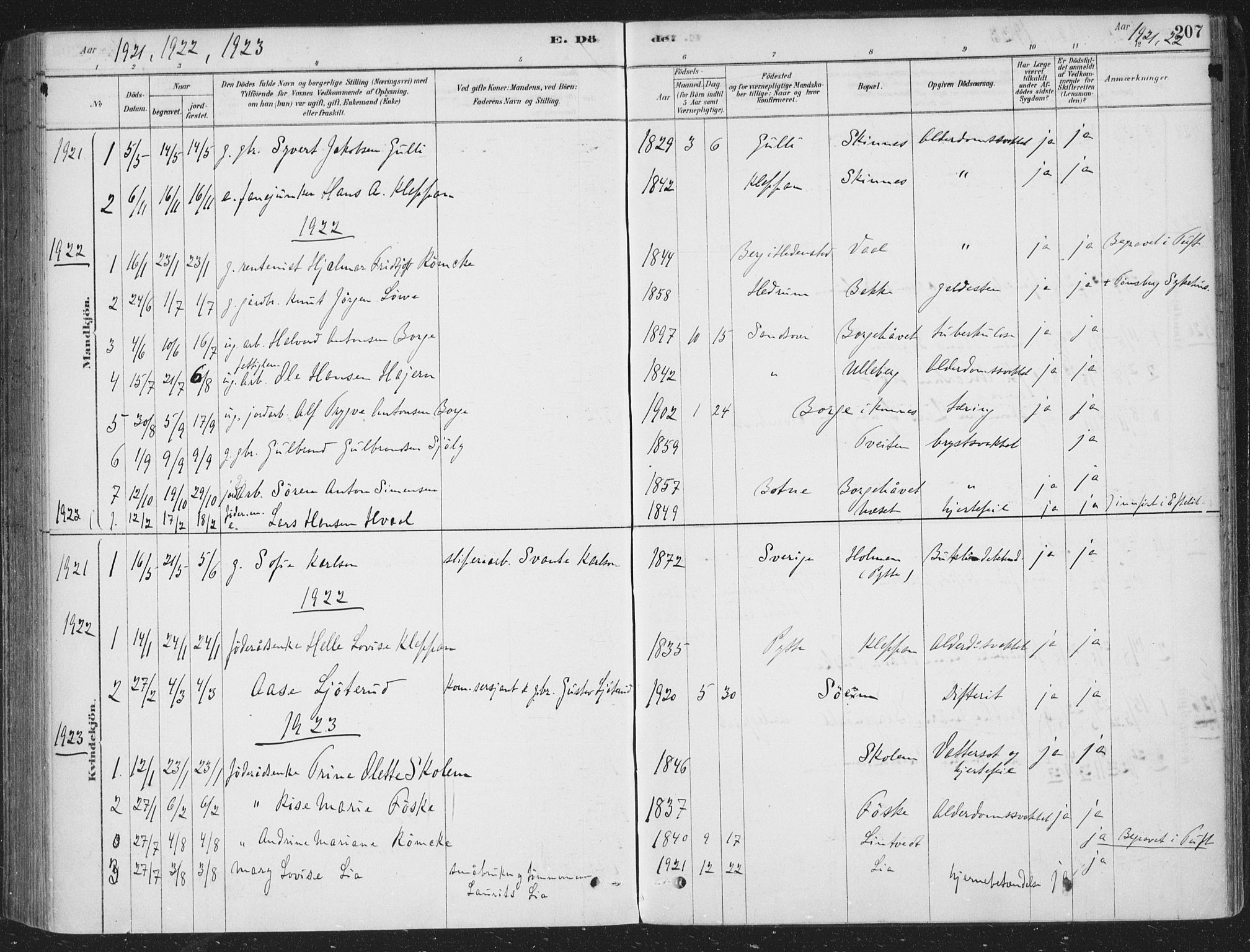 Sandsvær kirkebøker, AV/SAKO-A-244/F/Fe/L0001: Parish register (official) no. V 1, 1878-1936, p. 207