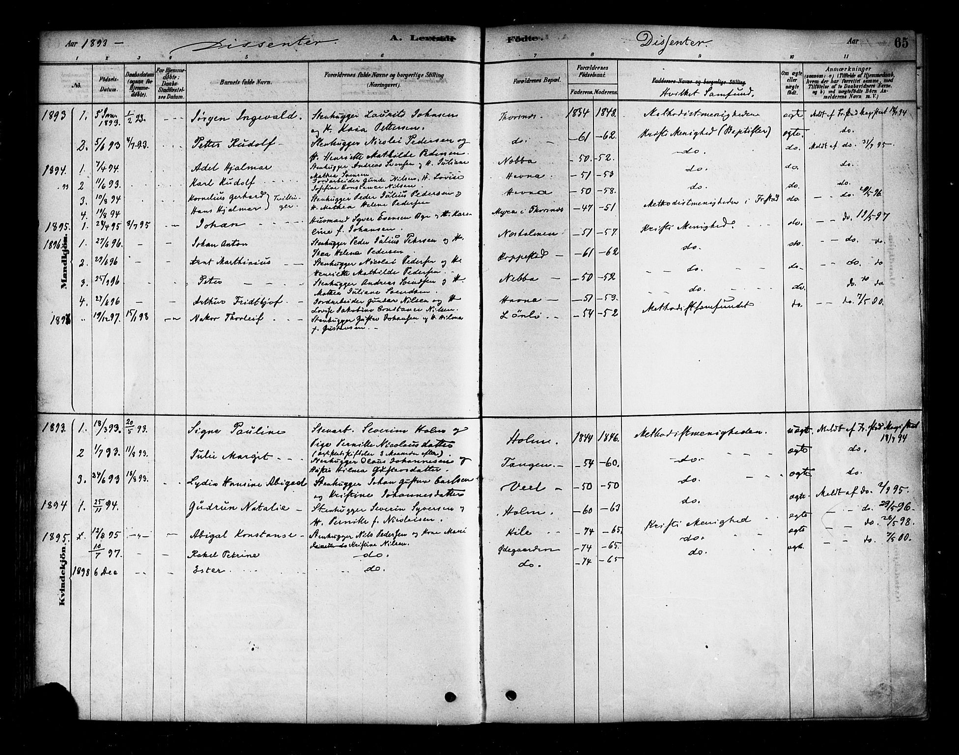 Borge prestekontor Kirkebøker, SAO/A-10903/F/Fb/L0003: Parish register (official) no. II 3, 1878-1902, p. 65