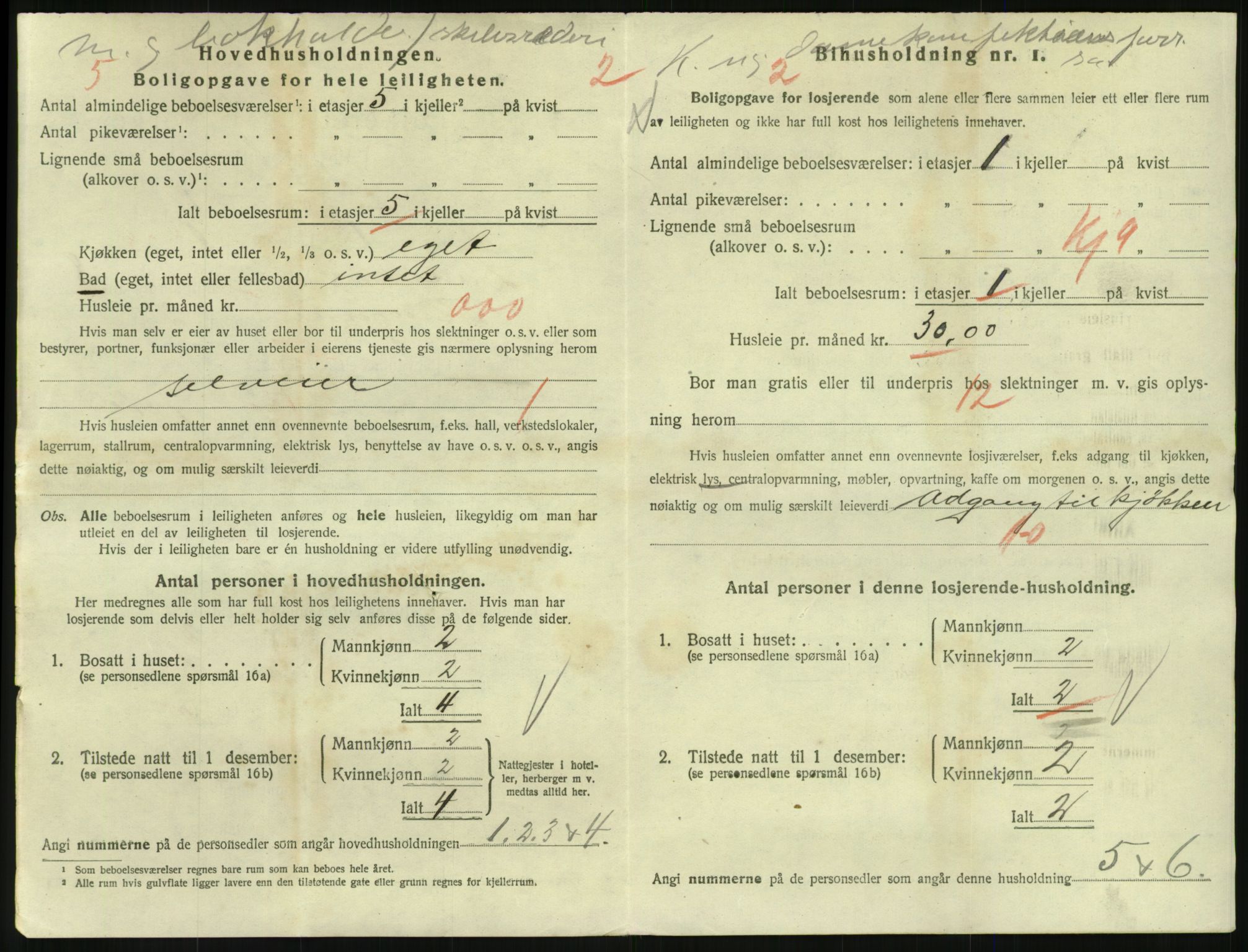 SAKO, 1920 census for Larvik, 1920, p. 6563