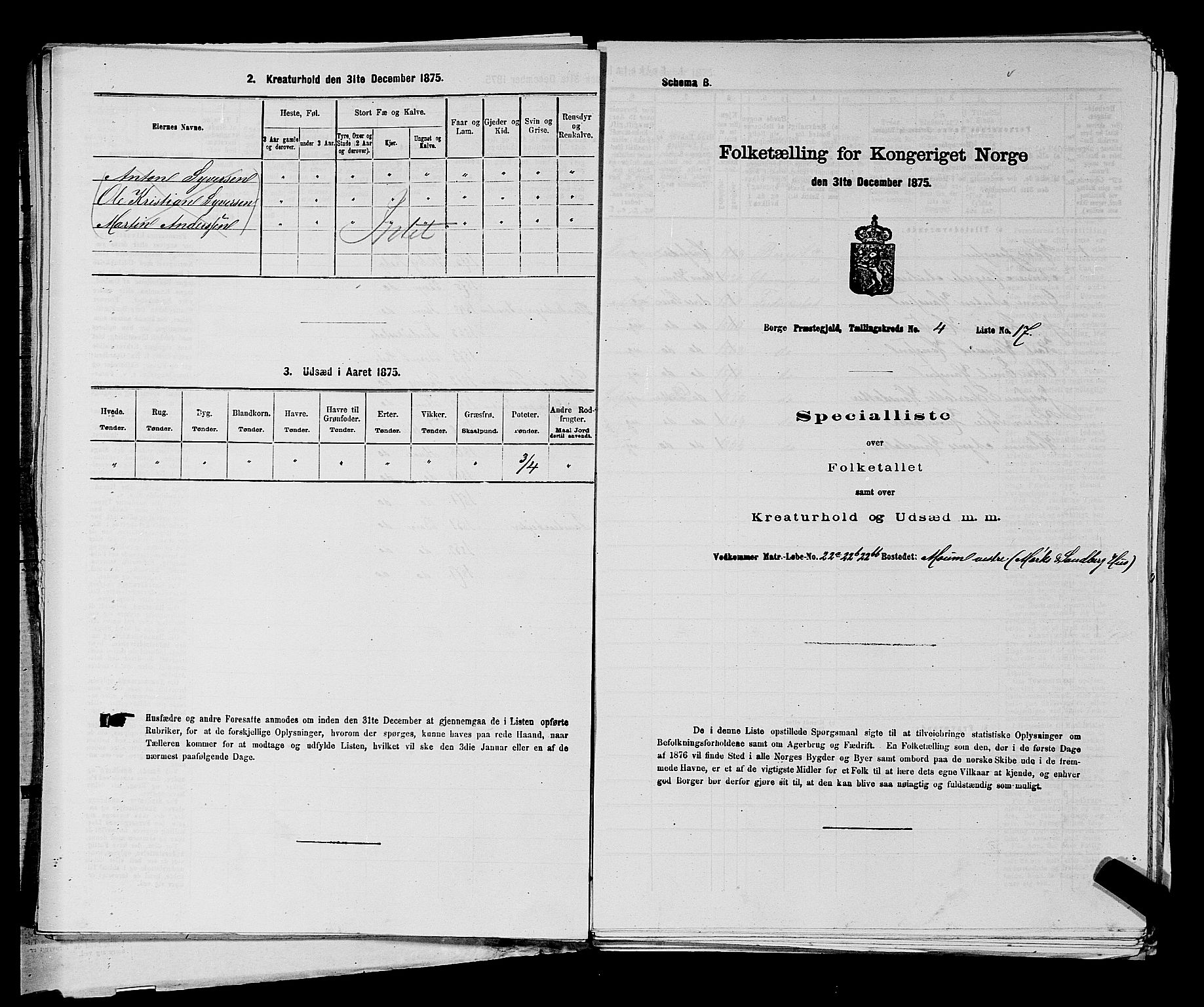 RA, 1875 census for 0113P Borge, 1875, p. 557
