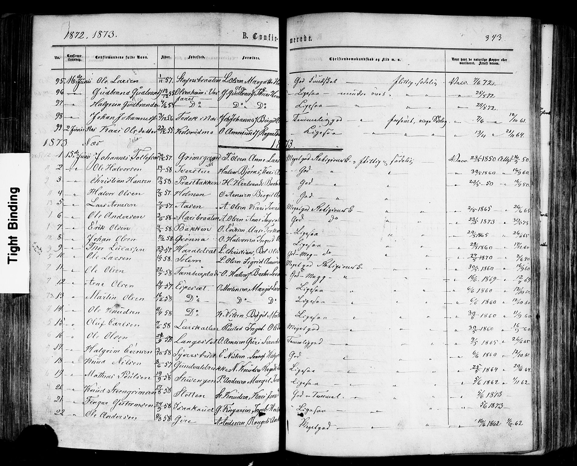 Nes kirkebøker, SAKO/A-236/F/Fa/L0010: Parish register (official) no. 10, 1864-1880, p. 343