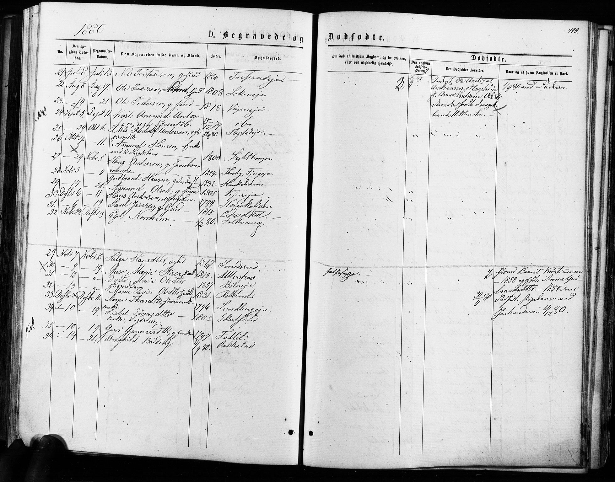 Nes prestekontor Kirkebøker, AV/SAO-A-10410/F/Fa/L0009: Parish register (official) no. I 9, 1875-1882, p. 499