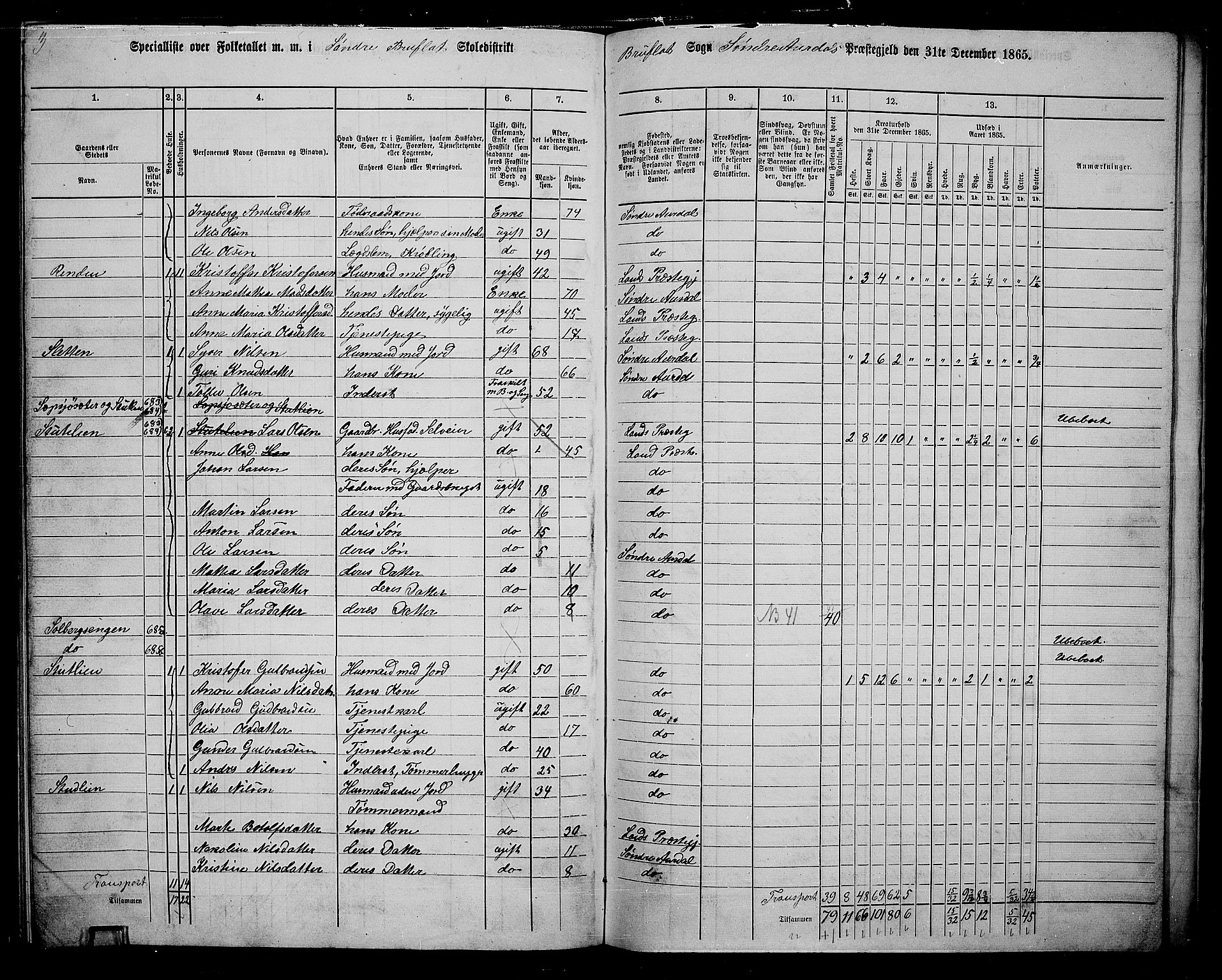 RA, 1865 census for Sør-Aurdal, 1865, p. 238