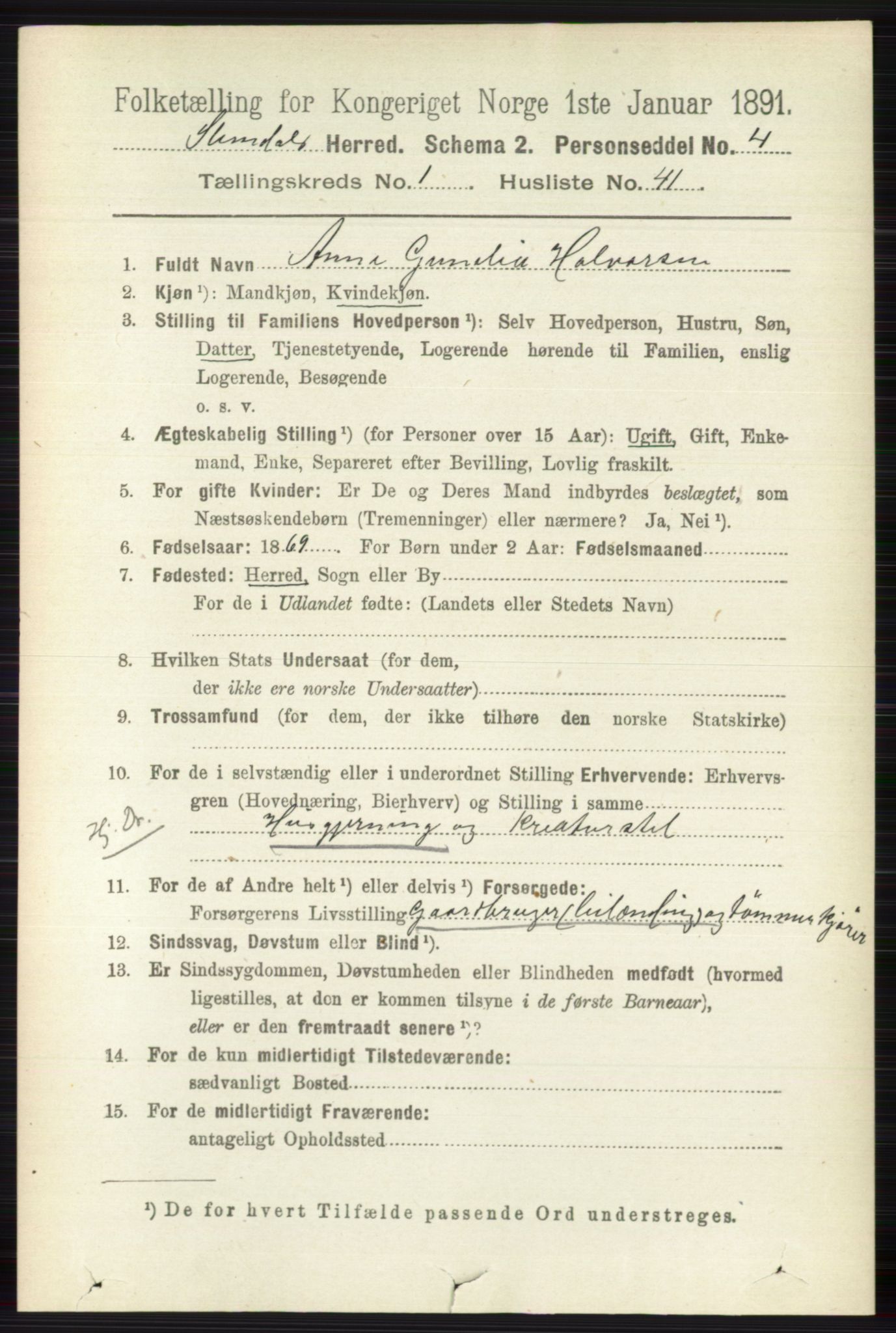 RA, 1891 census for 0811 Slemdal, 1891, p. 305