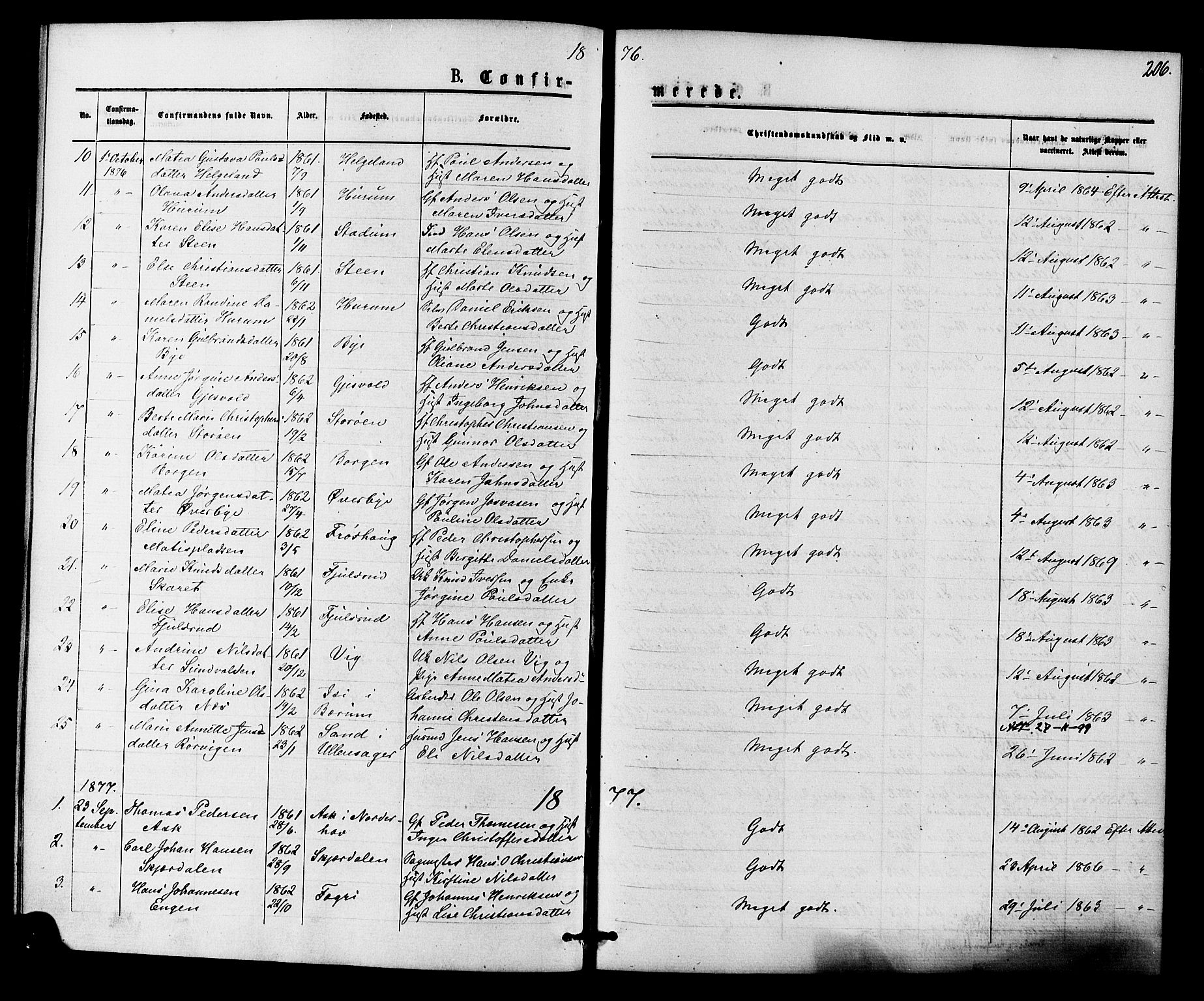 Hole kirkebøker, SAKO/A-228/F/Fa/L0007: Parish register (official) no. I 7, 1873-1877, p. 206