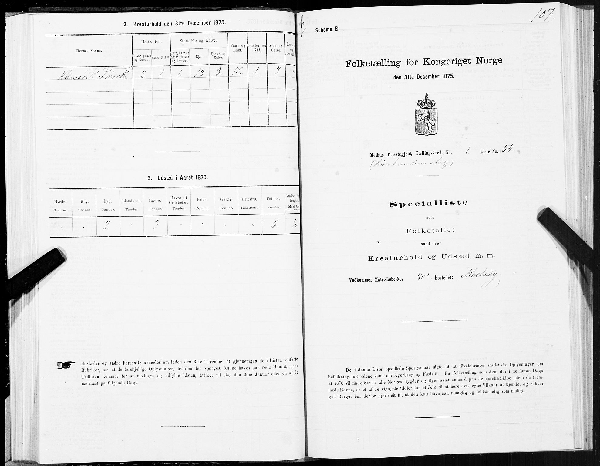 SAT, 1875 census for 1653P Melhus, 1875, p. 8107