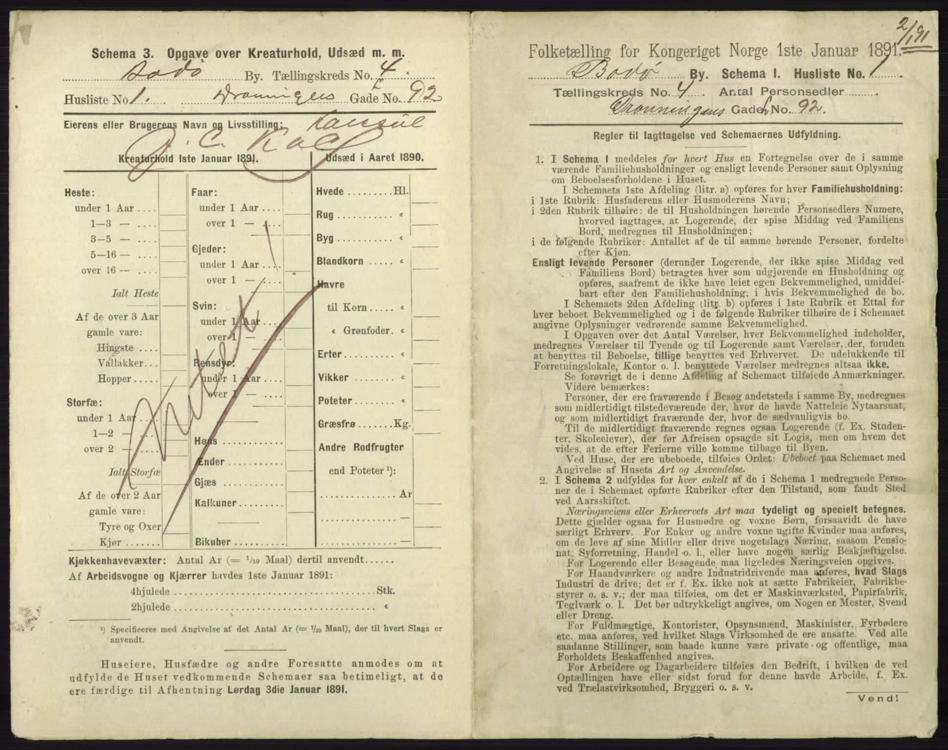 RA, 1891 census for 1804 Bodø, 1891, p. 2889