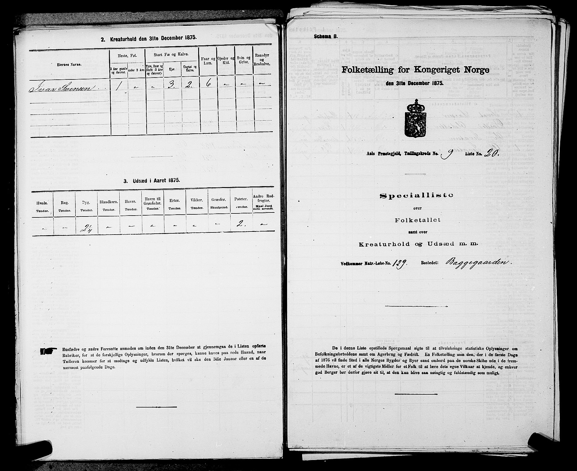 SAKO, 1875 census for 0619P Ål, 1875, p. 1133