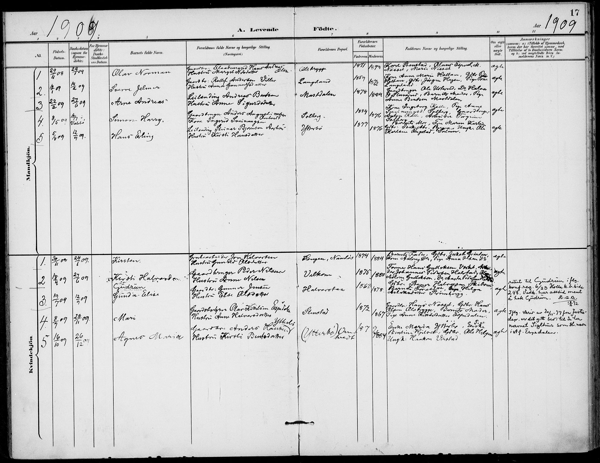 Holla kirkebøker, AV/SAKO-A-272/F/Fa/L0011: Parish register (official) no. 11, 1897-1928, p. 17