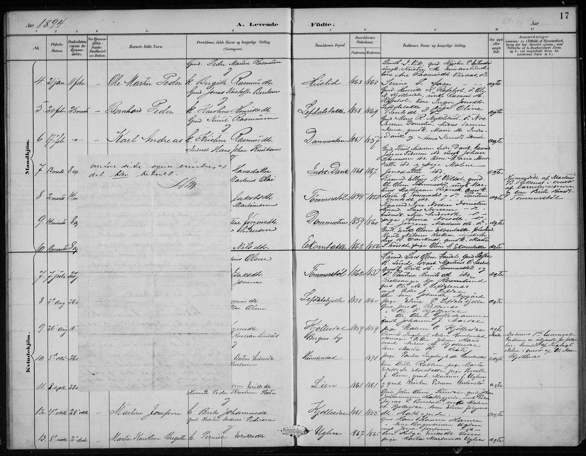 Davik sokneprestembete, AV/SAB-A-79701/H/Hab/Haba/L0002: Parish register (copy) no. A 2, 1890-1911, p. 17