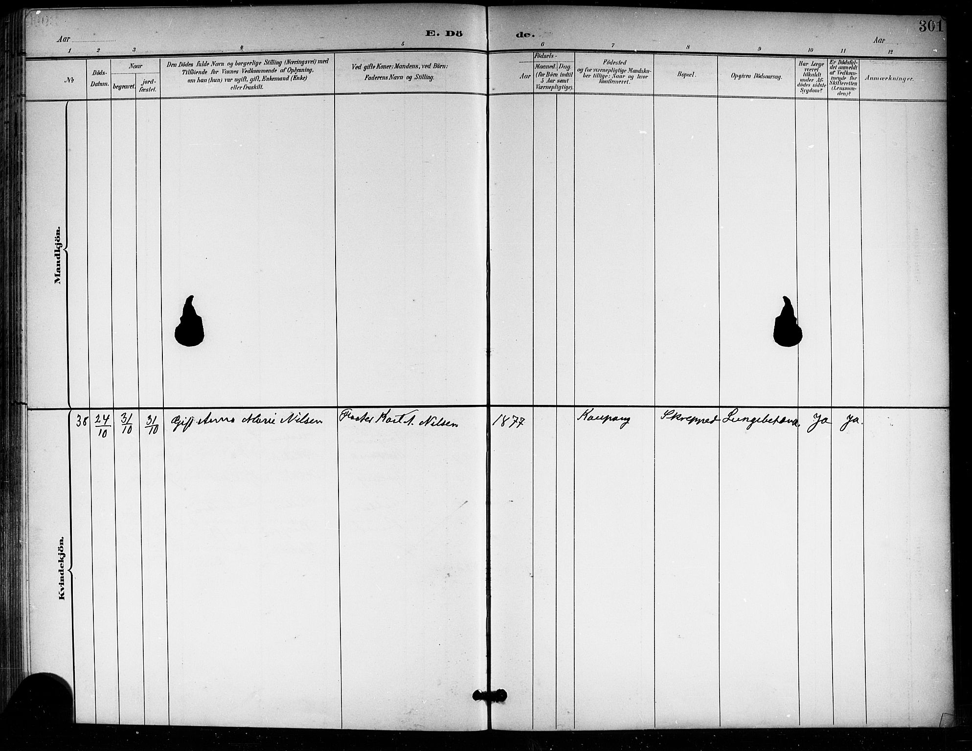 Tjølling kirkebøker, AV/SAKO-A-60/G/Ga/L0002: Parish register (copy) no. 2, 1895-1918, p. 301