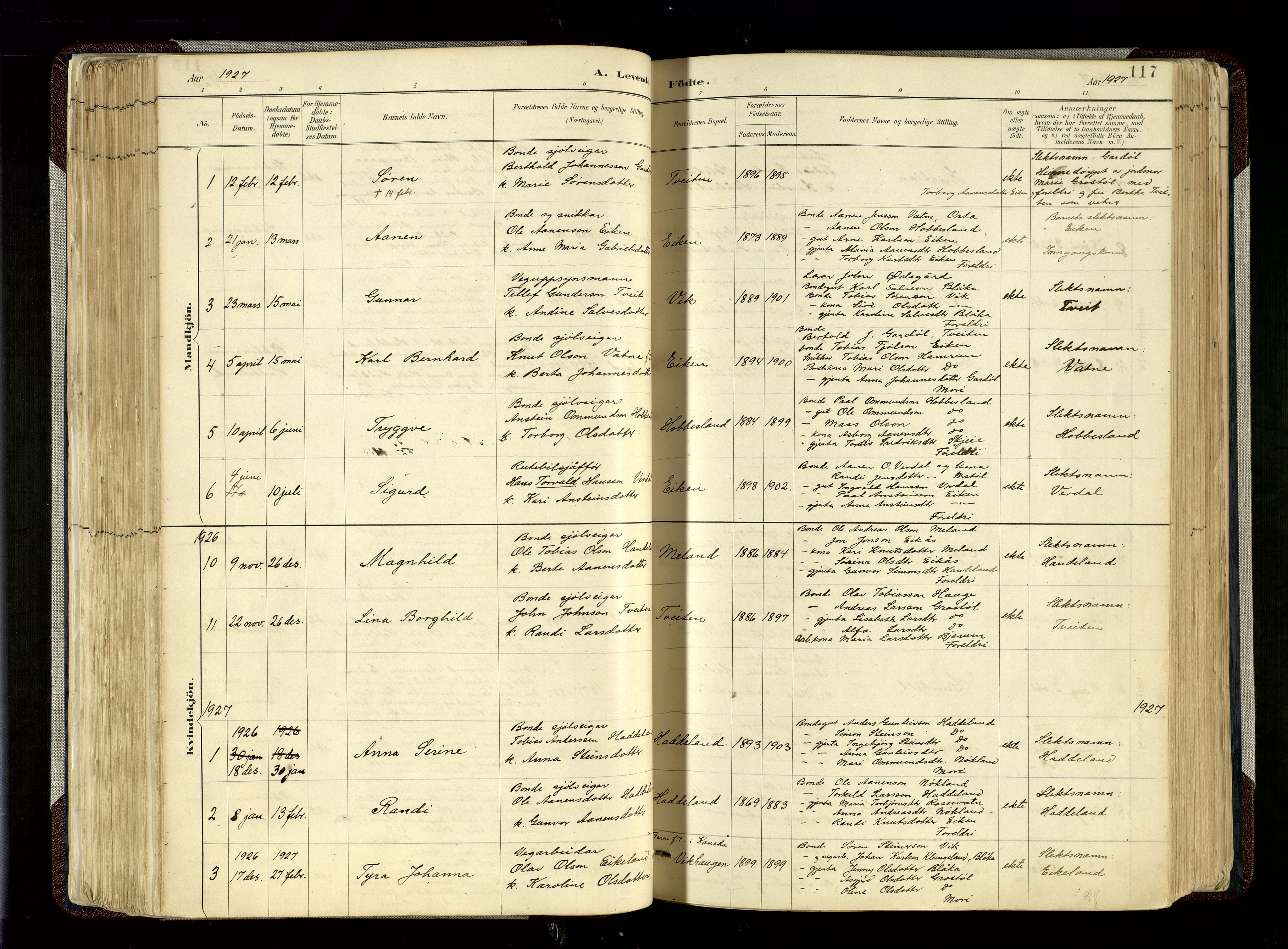 Hægebostad sokneprestkontor, SAK/1111-0024/F/Fa/Fab/L0004: Parish register (official) no. A 4, 1887-1929, p. 117