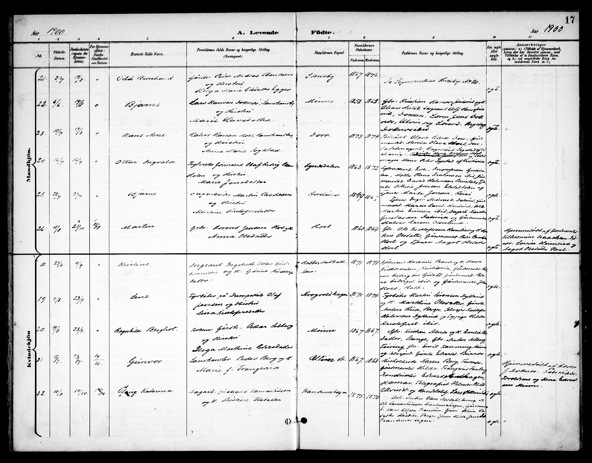Eidsvoll prestekontor Kirkebøker, AV/SAO-A-10888/F/Fb/L0003: Parish register (official) no. II 3, 1898-1909, p. 17