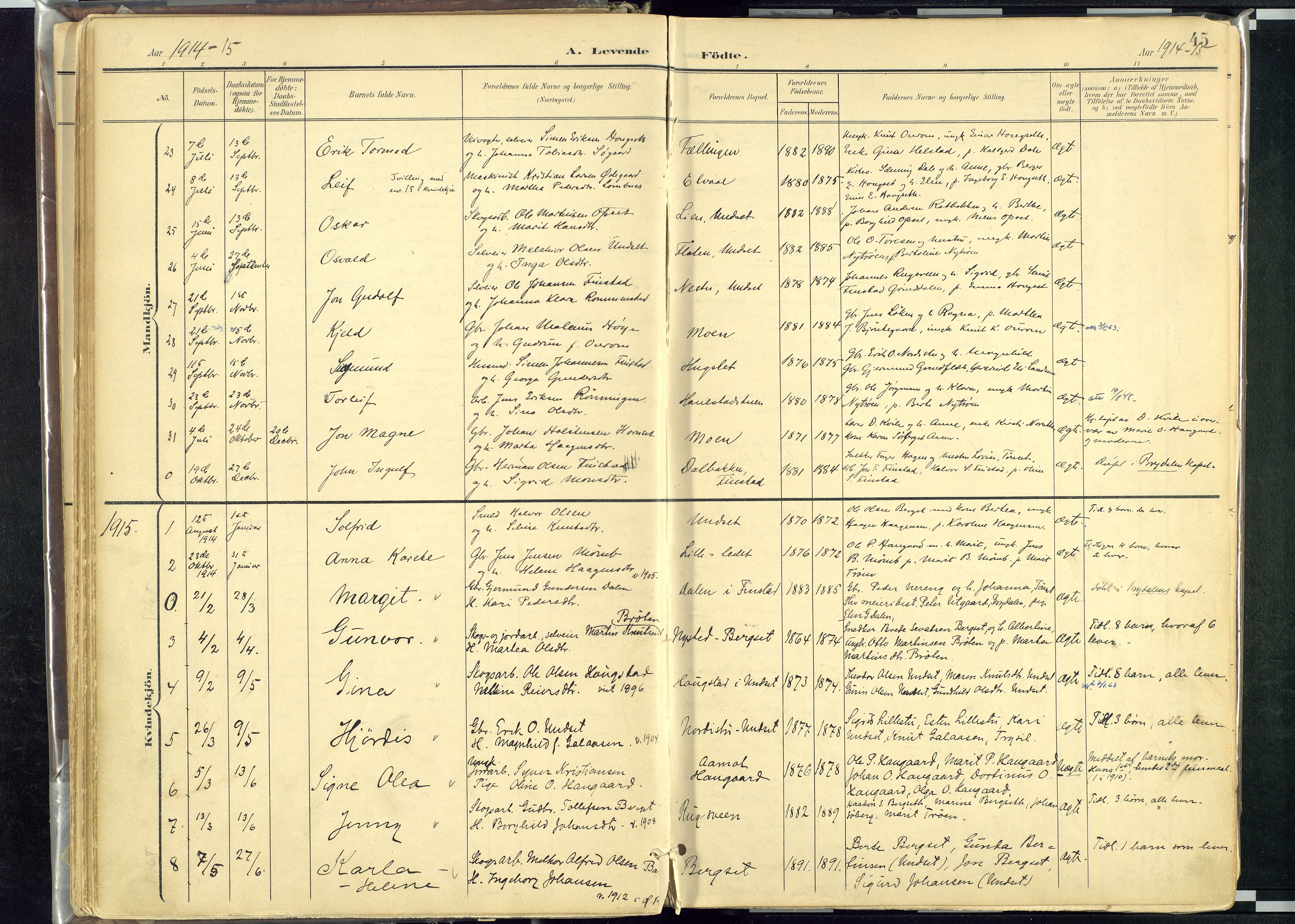Rendalen prestekontor, SAH/PREST-054/H/Ha/Haa/L0012: Parish register (official) no. 12, 1901-1928, p. 45