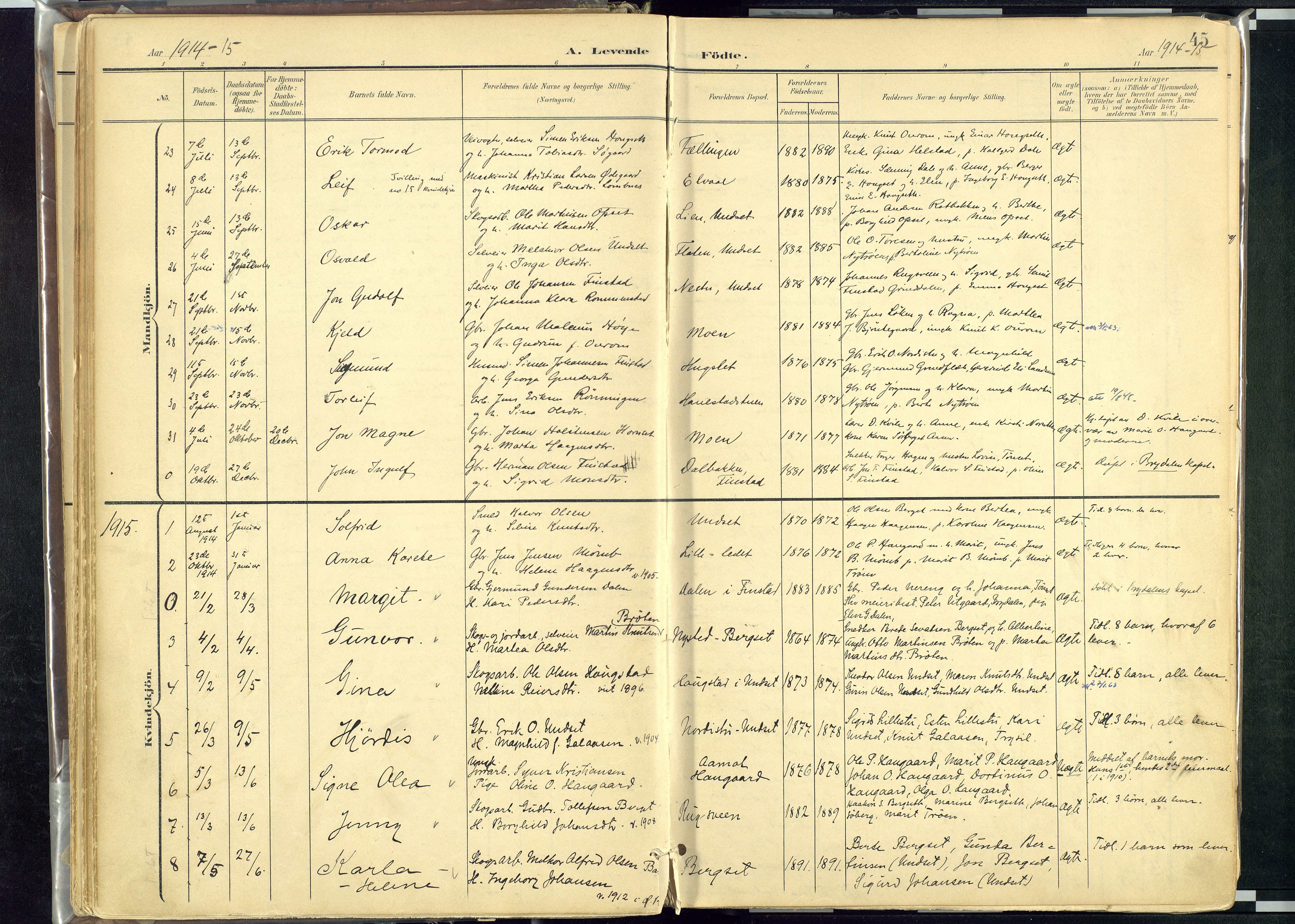 Rendalen prestekontor, AV/SAH-PREST-054/H/Ha/Haa/L0012: Parish register (official) no. 12, 1901-1928, p. 45