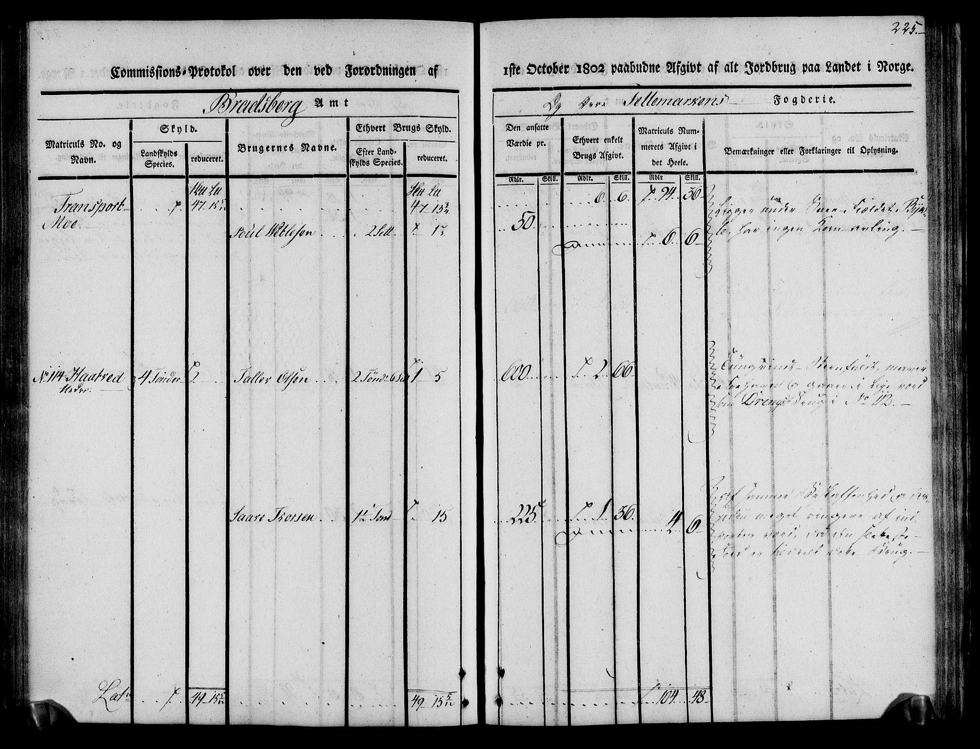 Rentekammeret inntil 1814, Realistisk ordnet avdeling, AV/RA-EA-4070/N/Ne/Nea/L0075: Øvre Telemarken fogderi. Kommisjonsprotokoll for fogderiets vestre del - Kviteseid, Vinje, Moland [):Fyresdal] og Lårdal prestegjeld., 1803, p. 227