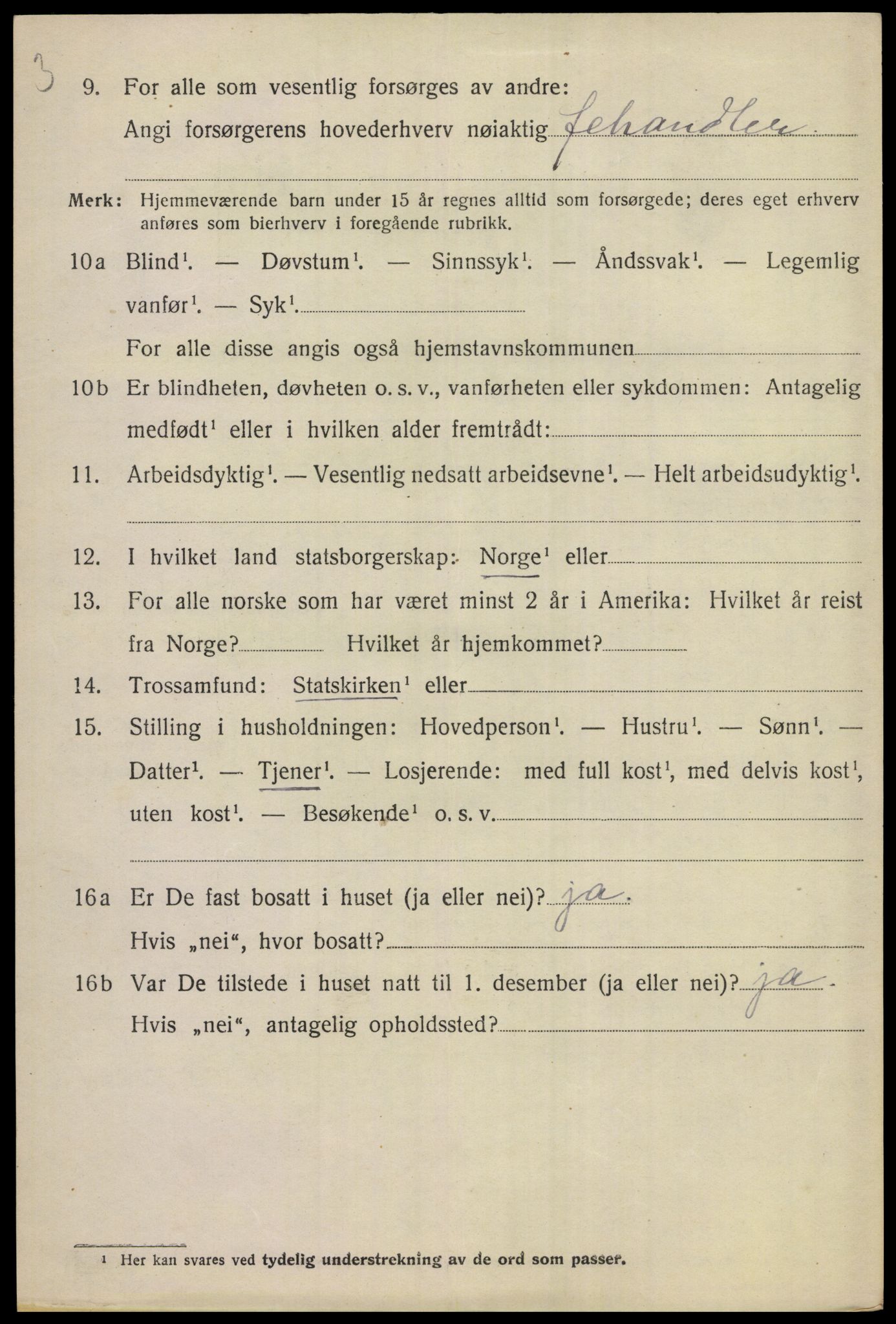 SAKO, 1920 census for Hemsedal, 1920, p. 1451