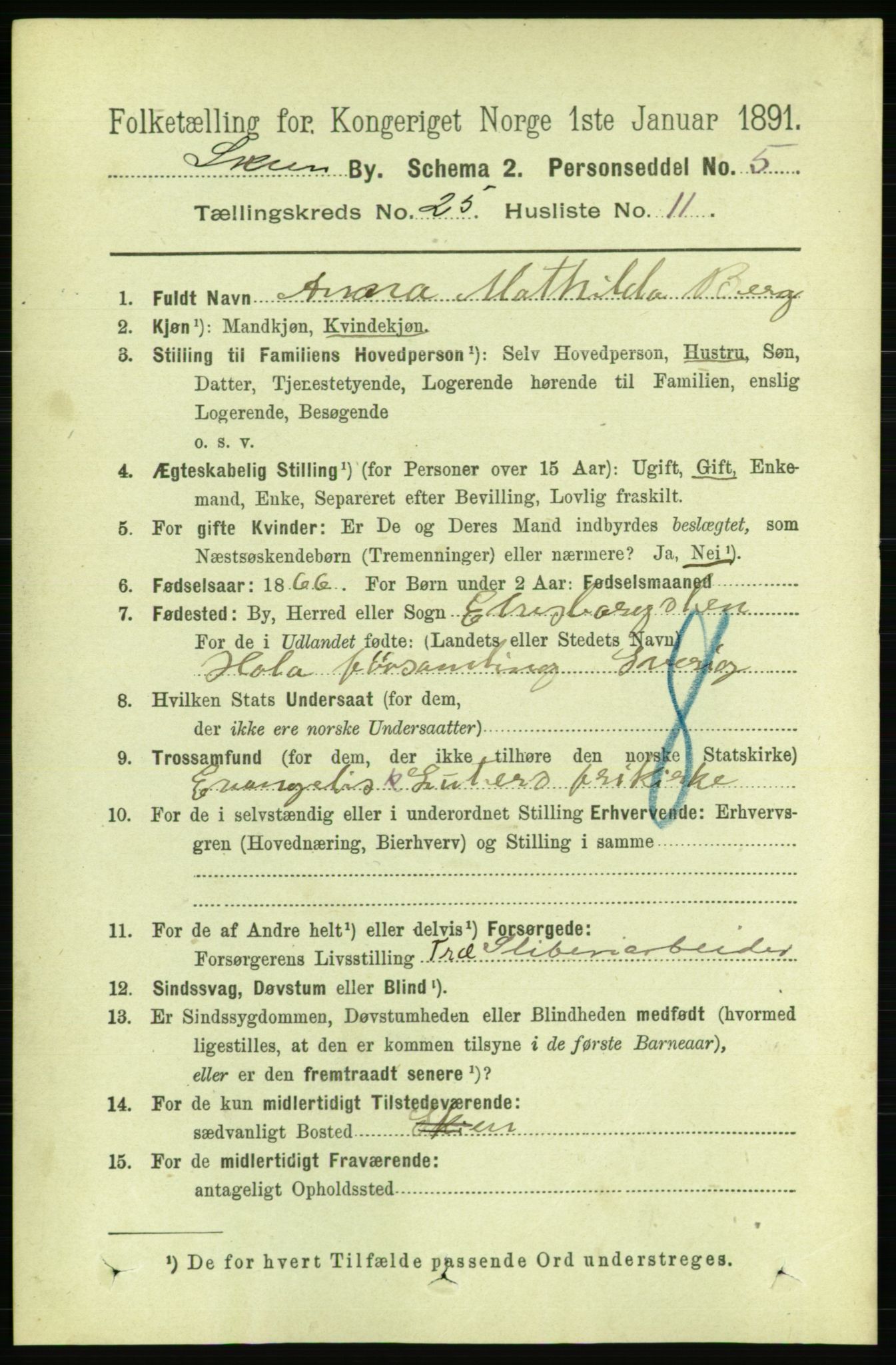 RA, 1891 census for 0806 Skien, 1891, p. 6115