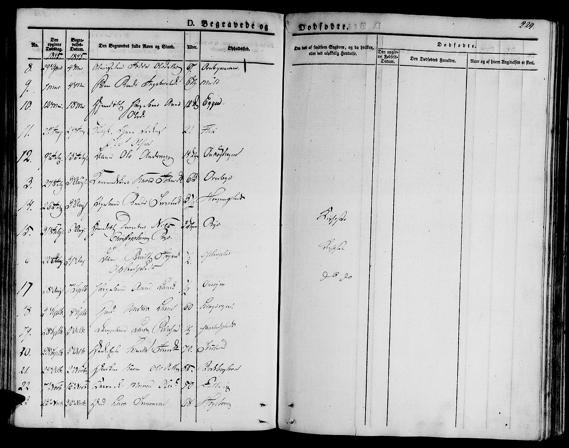 Ministerialprotokoller, klokkerbøker og fødselsregistre - Sør-Trøndelag, SAT/A-1456/612/L0374: Parish register (official) no. 612A07 /1, 1829-1845, p. 229