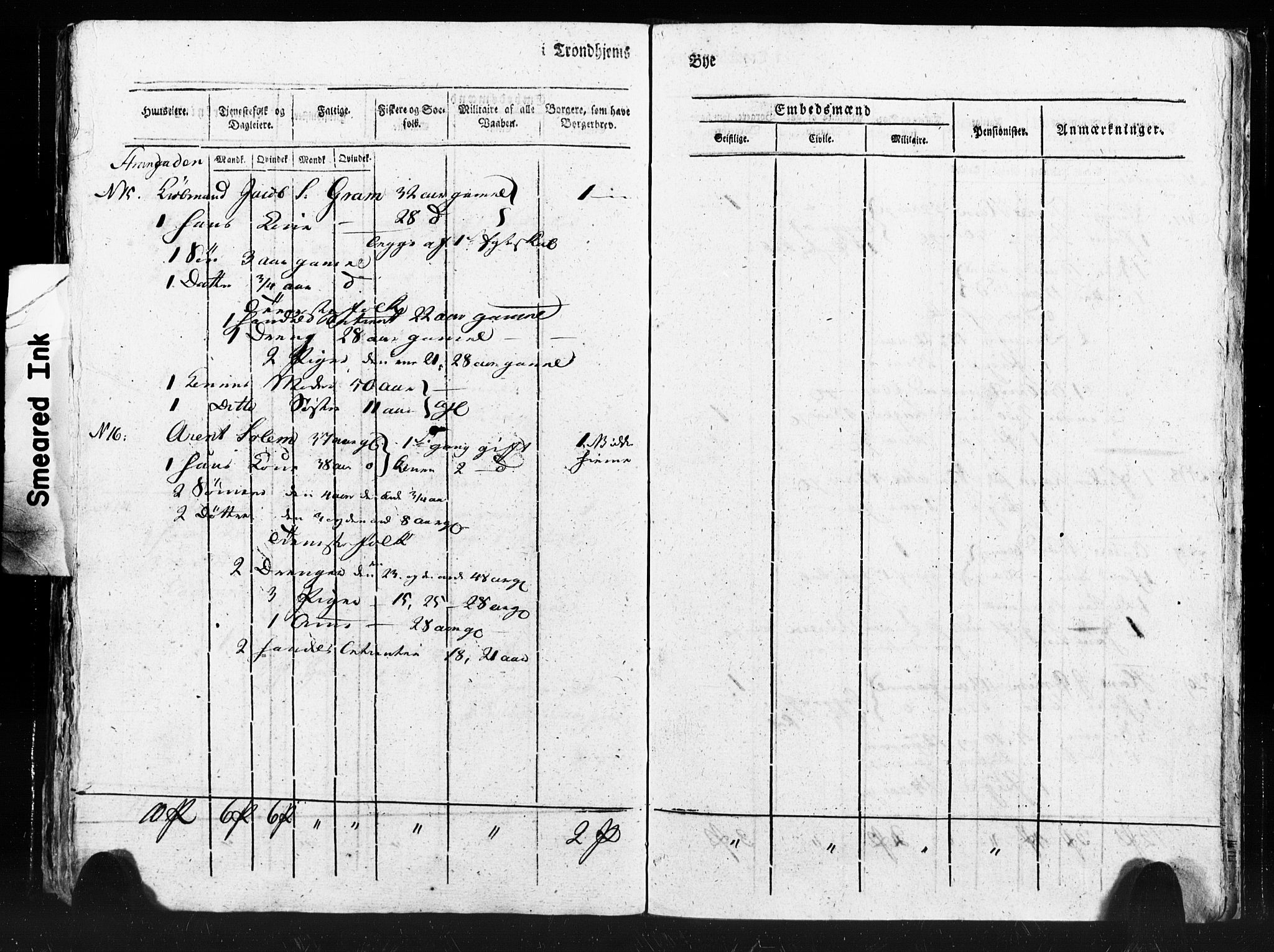 SAT, Census 1815 for Trondheim (transcript), 1815, p. 165